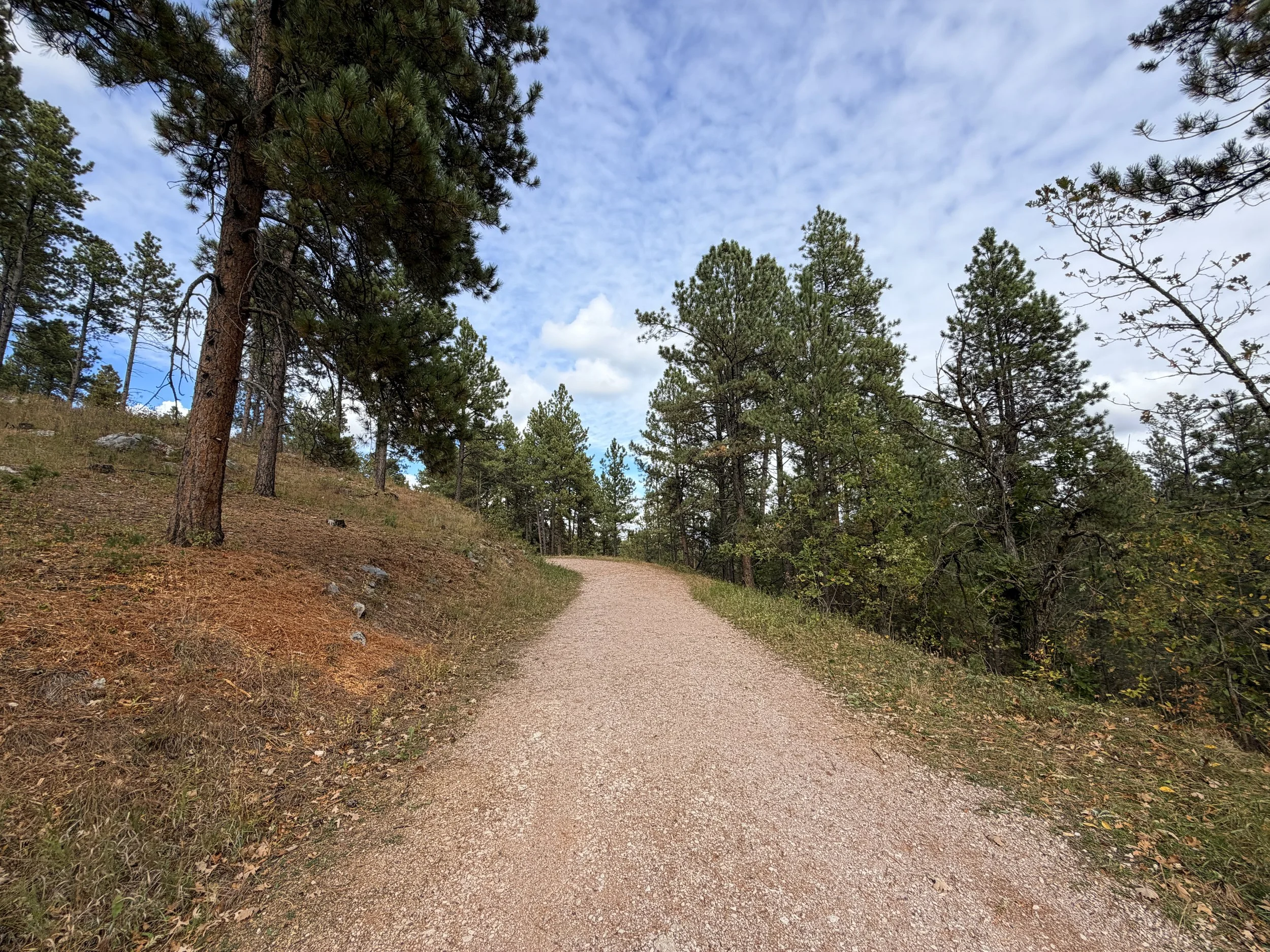 Stratobowl Rim Trail Black Hills South Dakota