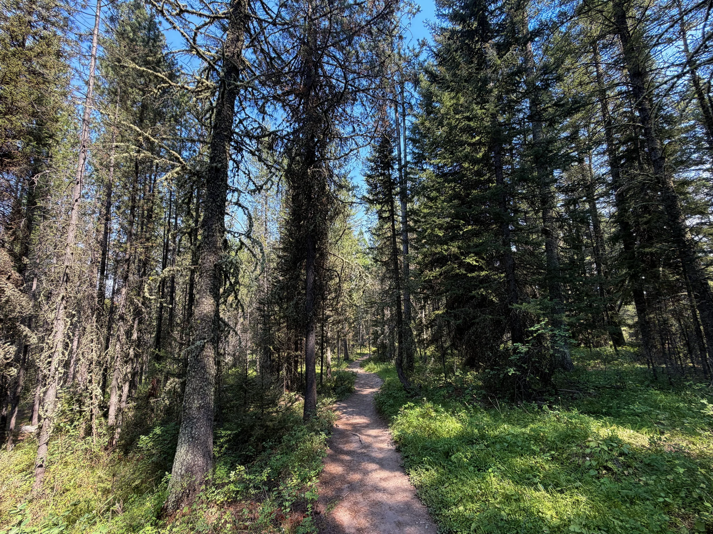 Phelps Lake Loop Trail Grand Teton National Park Wyoming
