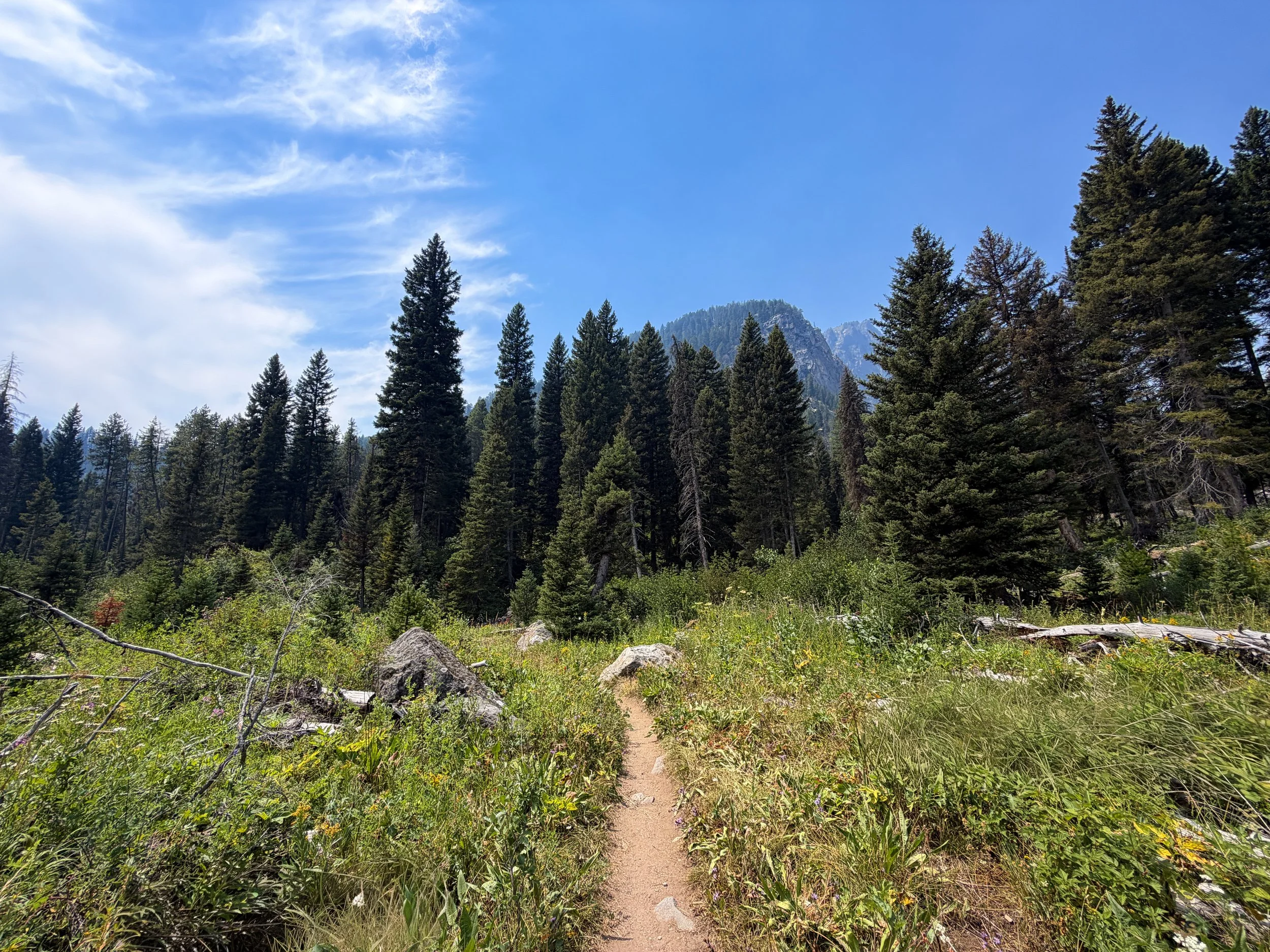 Phelps Lake Loop Trail Grand Teton National Park Wyoming