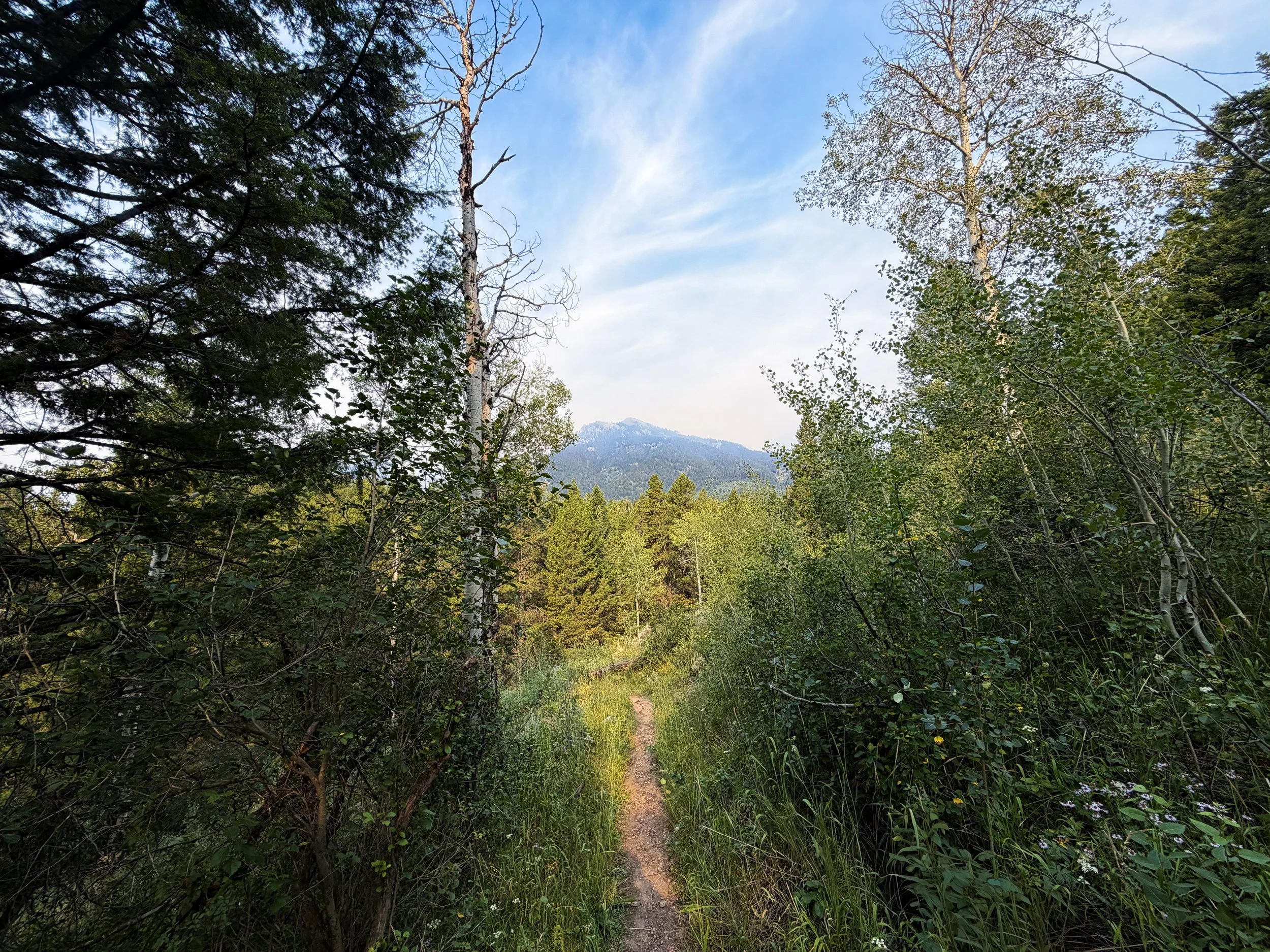 Aspen–Boulder Ridge Loop Trail Grand Teton National Park Wyoming