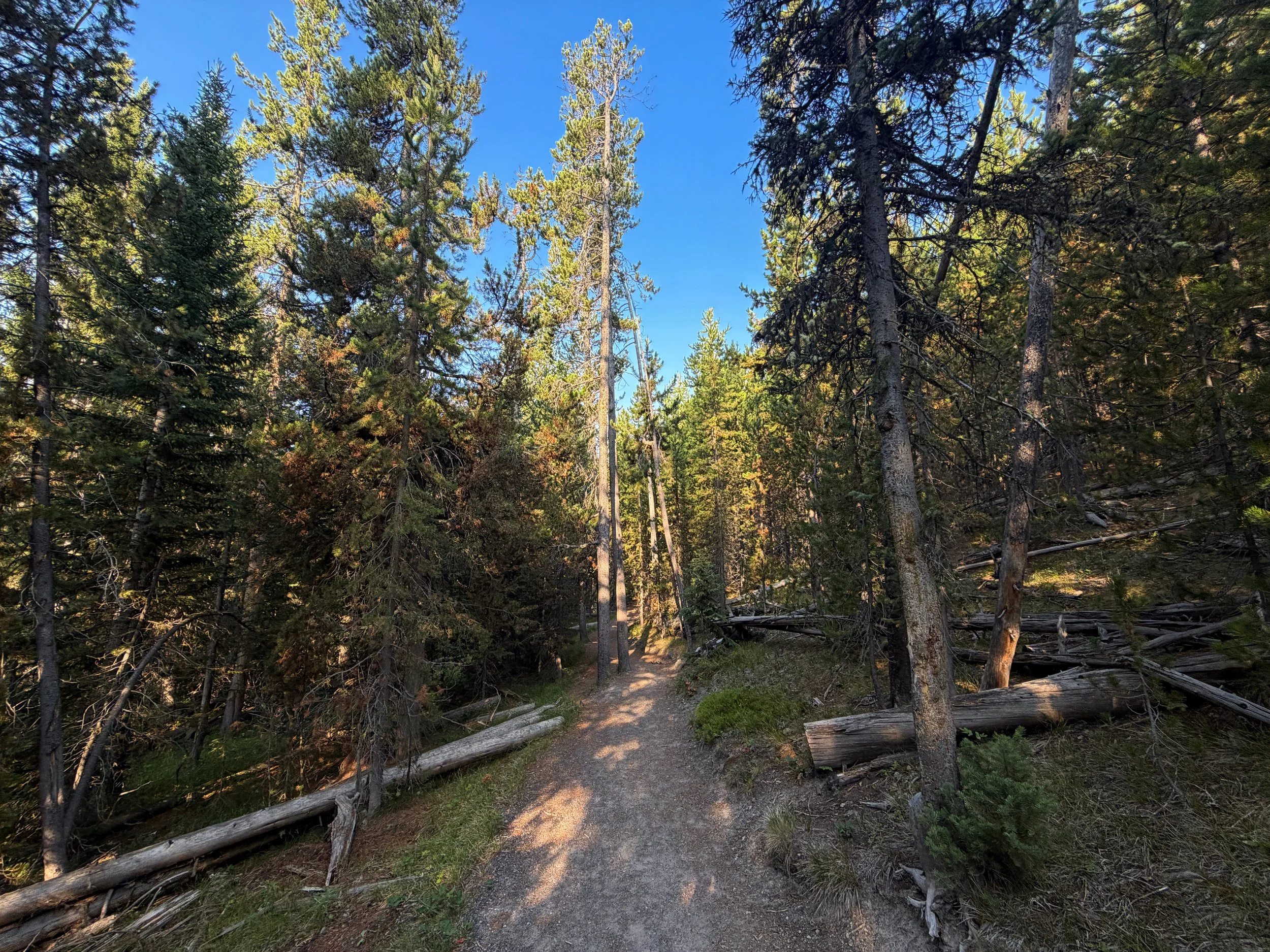 Mystic Falls Loop Trail Yellowstone National Park Wyoming