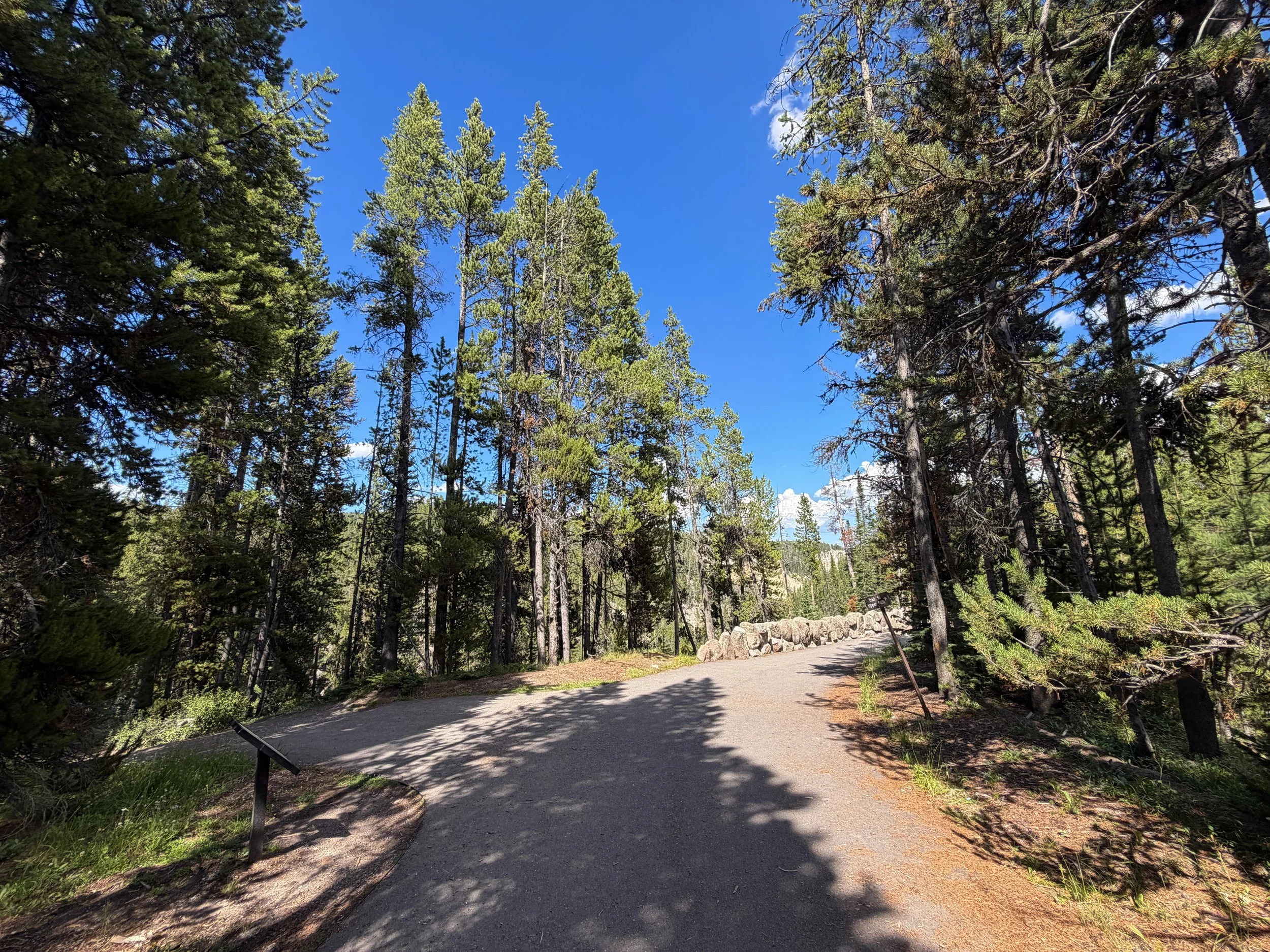 North Rim Trail Yellowstone National Park Wyoming