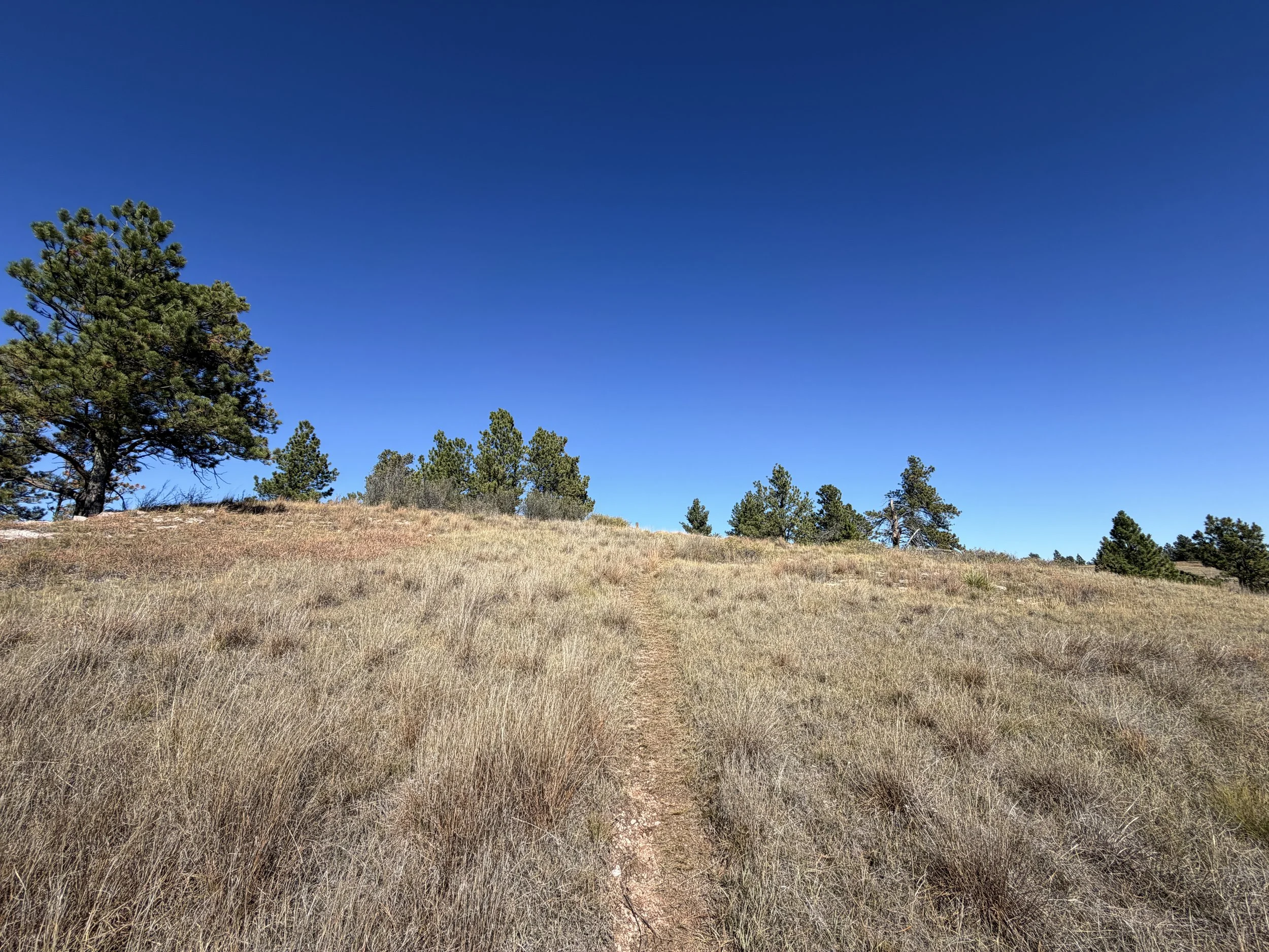 East Bison Flats Trail Wind Cave National Park South Dakota