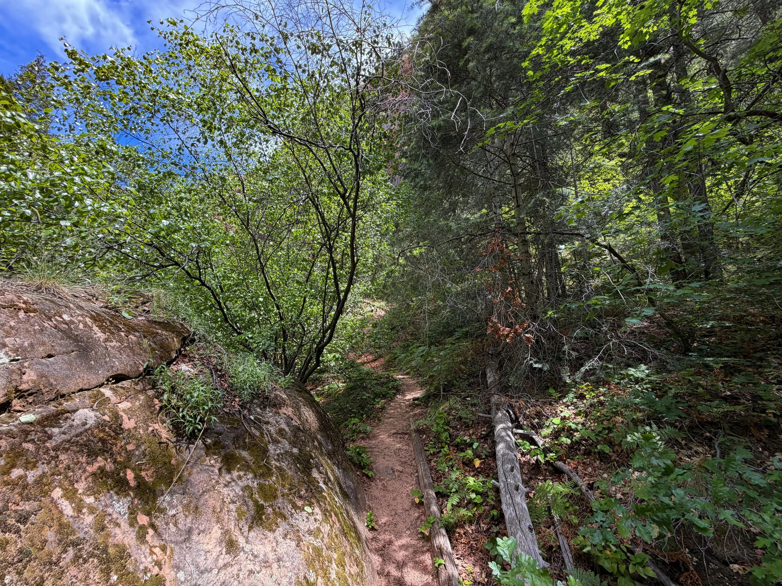 Subway Trail Zion National Park Utah