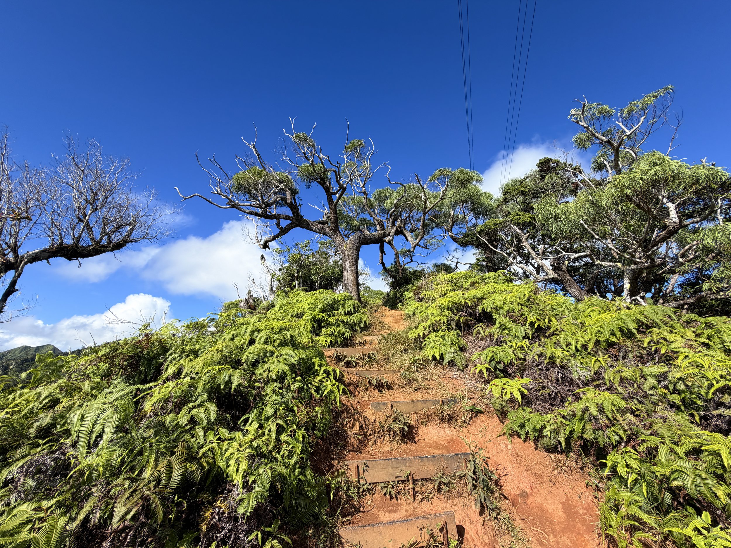 Wiliwilinui Ridge Trail Stairs Oahu Hawaii