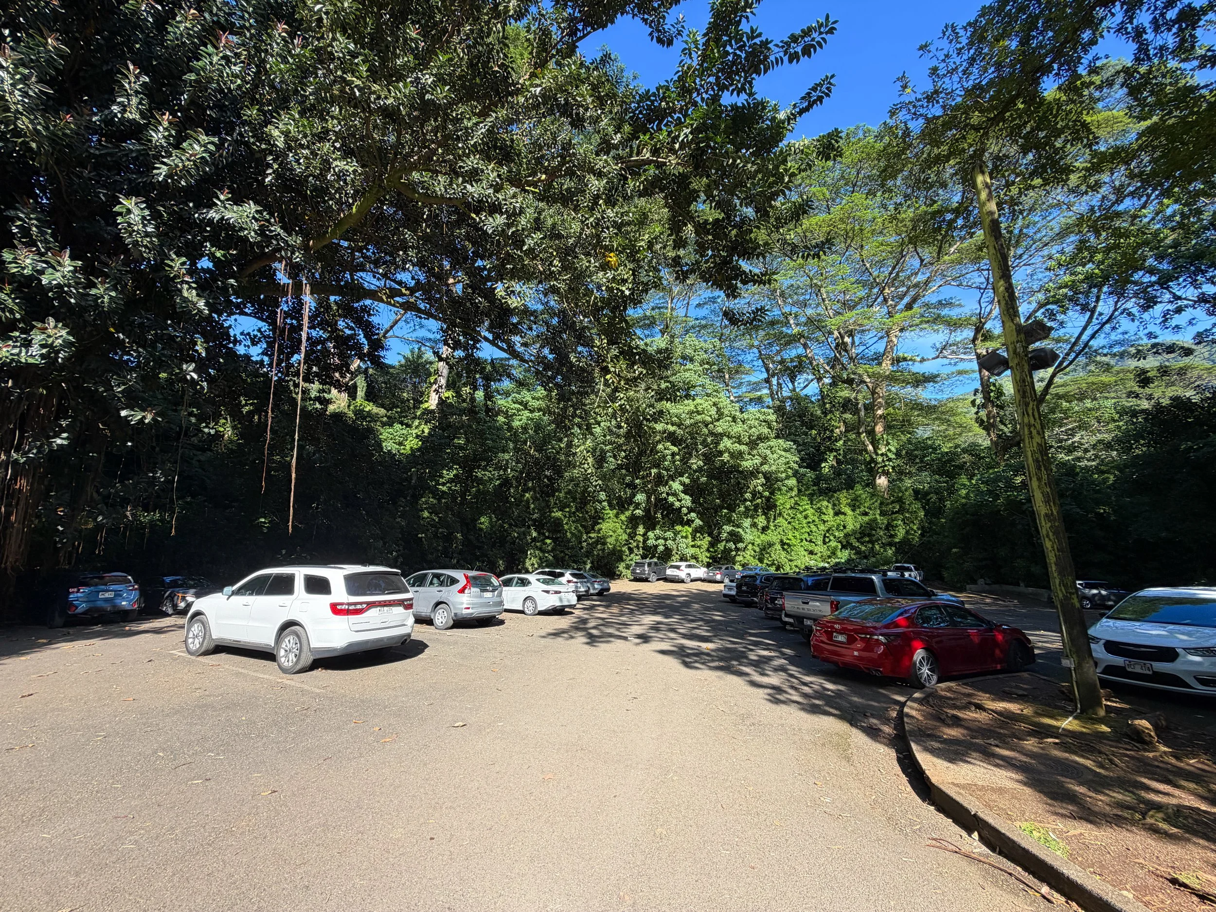 Manoa Falls Trailhead Parking Oahu Hawaii