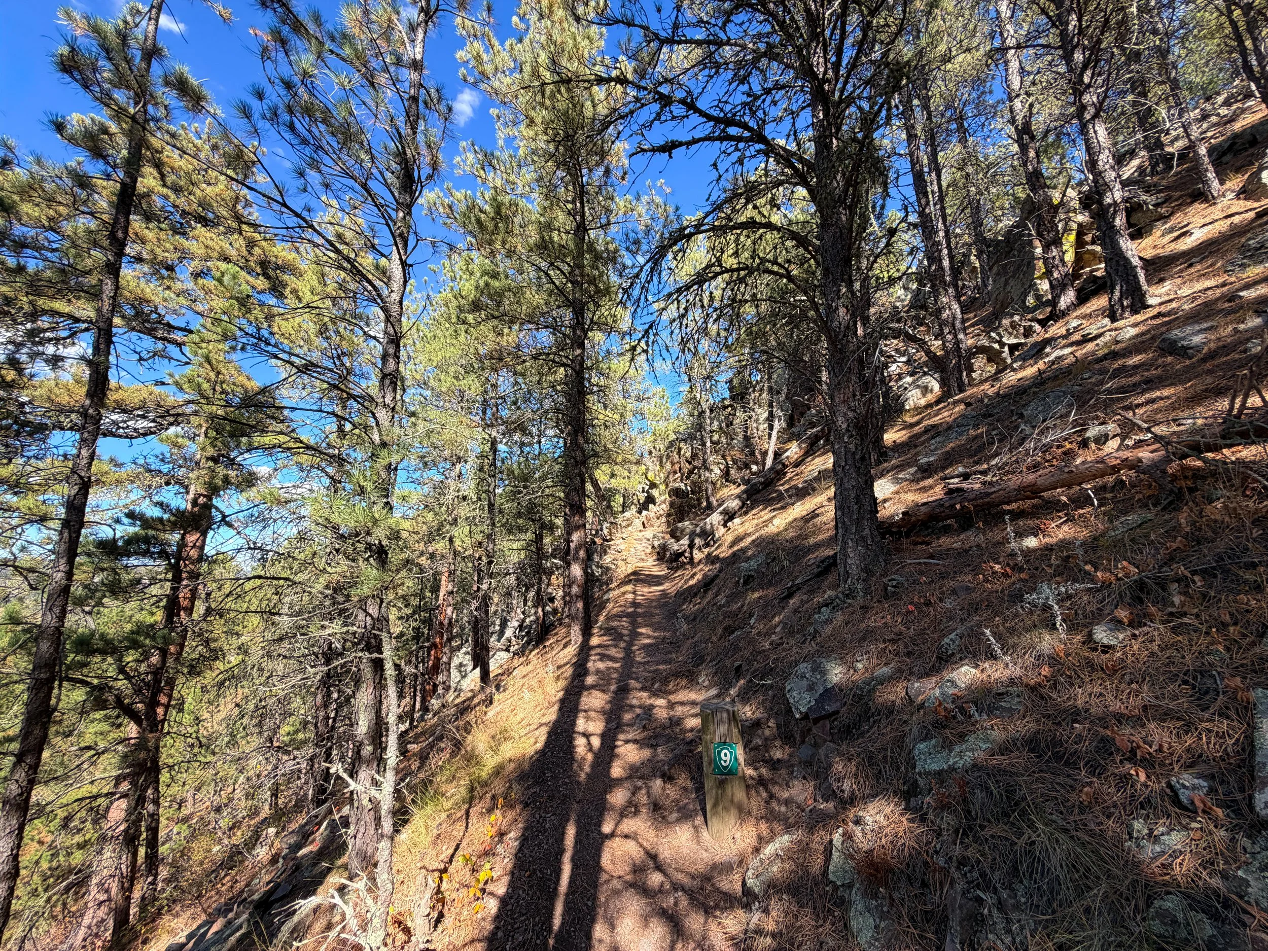 Rankin Ridge Nature Hike Wind Cave National Park South Dakota
