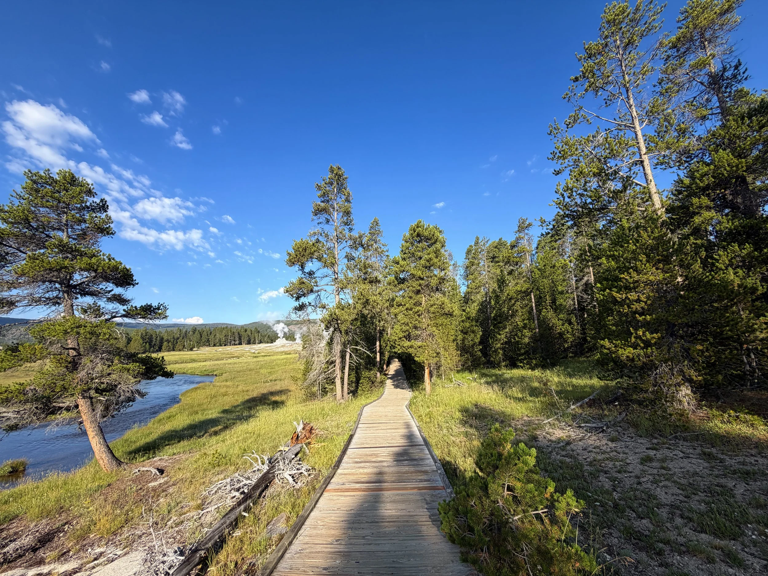Upper Geyser Basin Trail Yellowstone National Park Wyoming