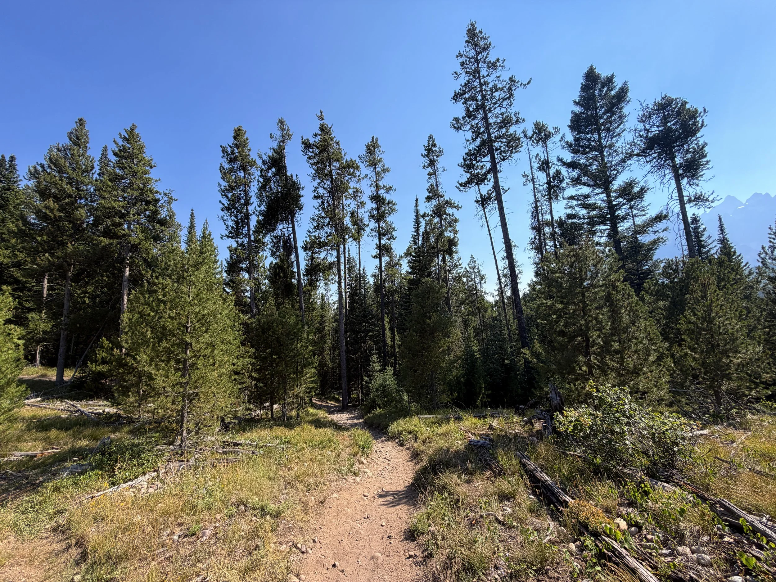 Jenny Lake Hike Grand Teton National Park Wyoming