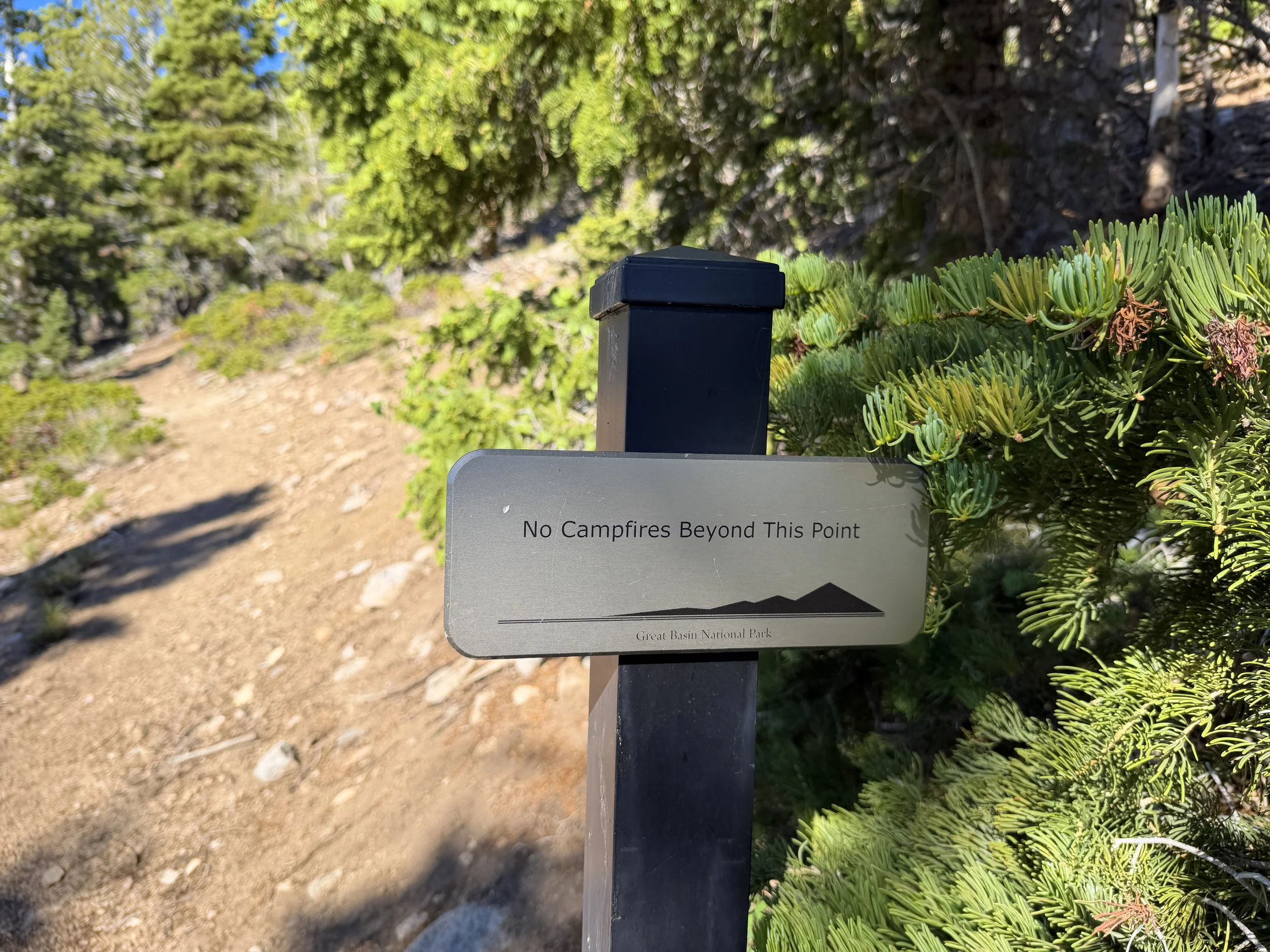 Snake Divide Trail to Mt Washington Great Basin National Park Nevada
