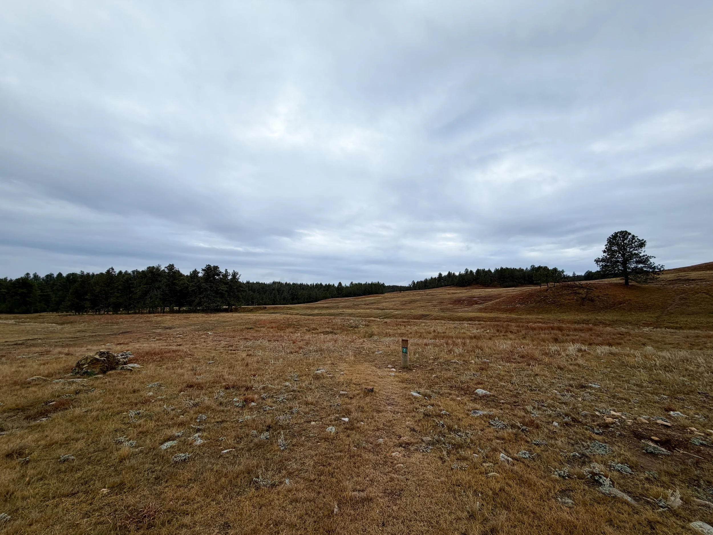 Highland Creek Trail Wind Cave National Park South Dakota