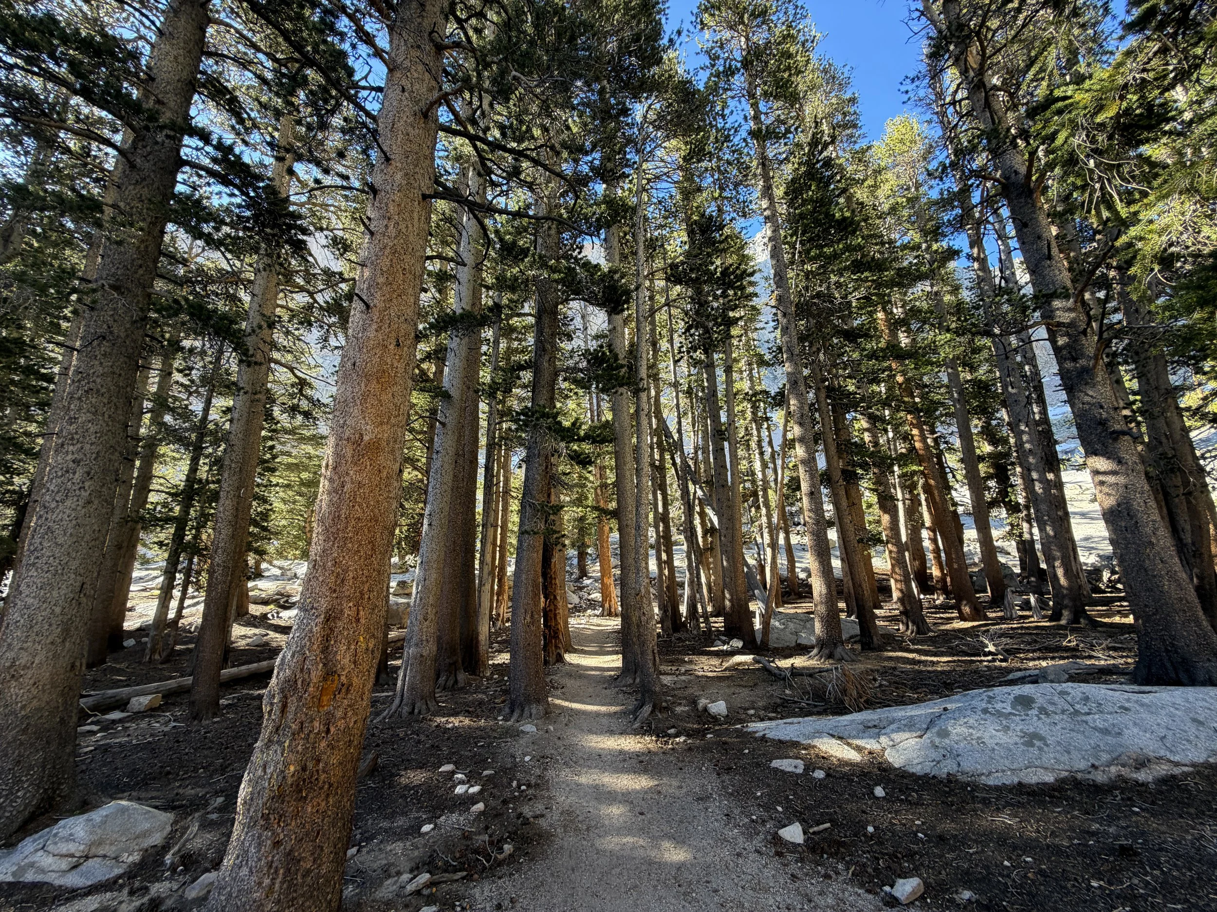 Mt. Whitney Trail via Whitney Portal California