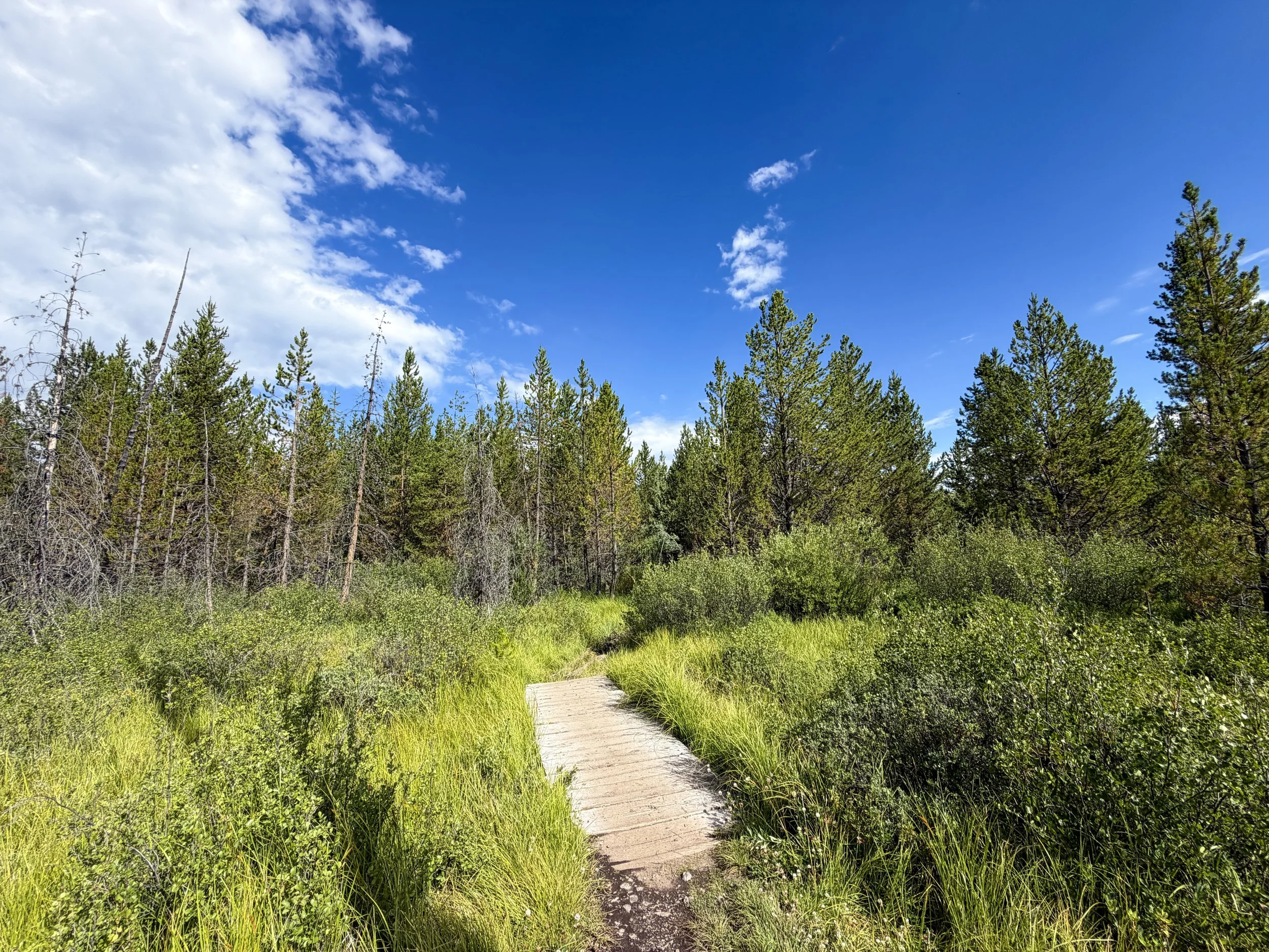Fairy Falls Trail to Imperial Geyser Yellowstone National Park Wyoming