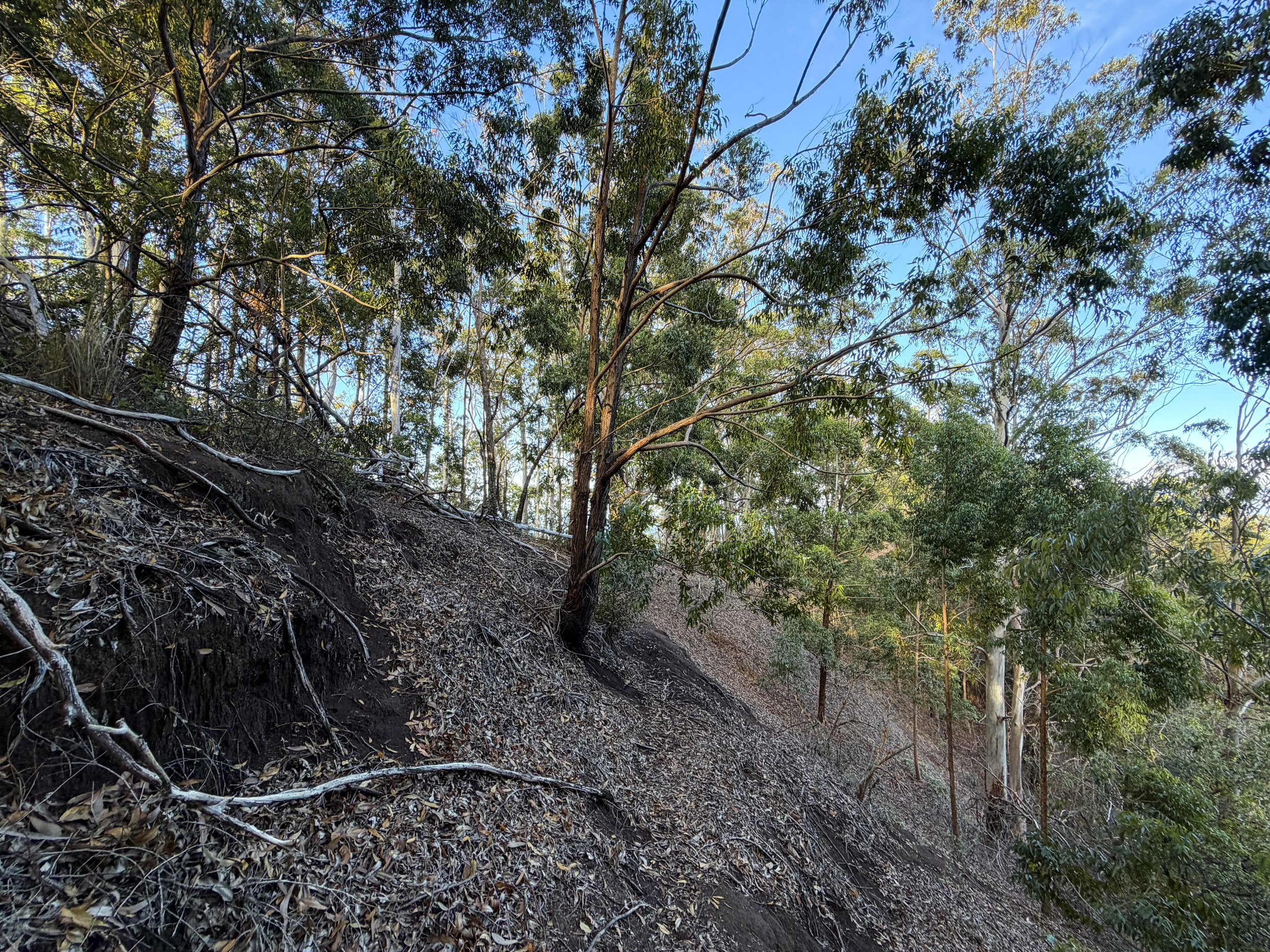 Mokuleia Trail Oahu Hawaii