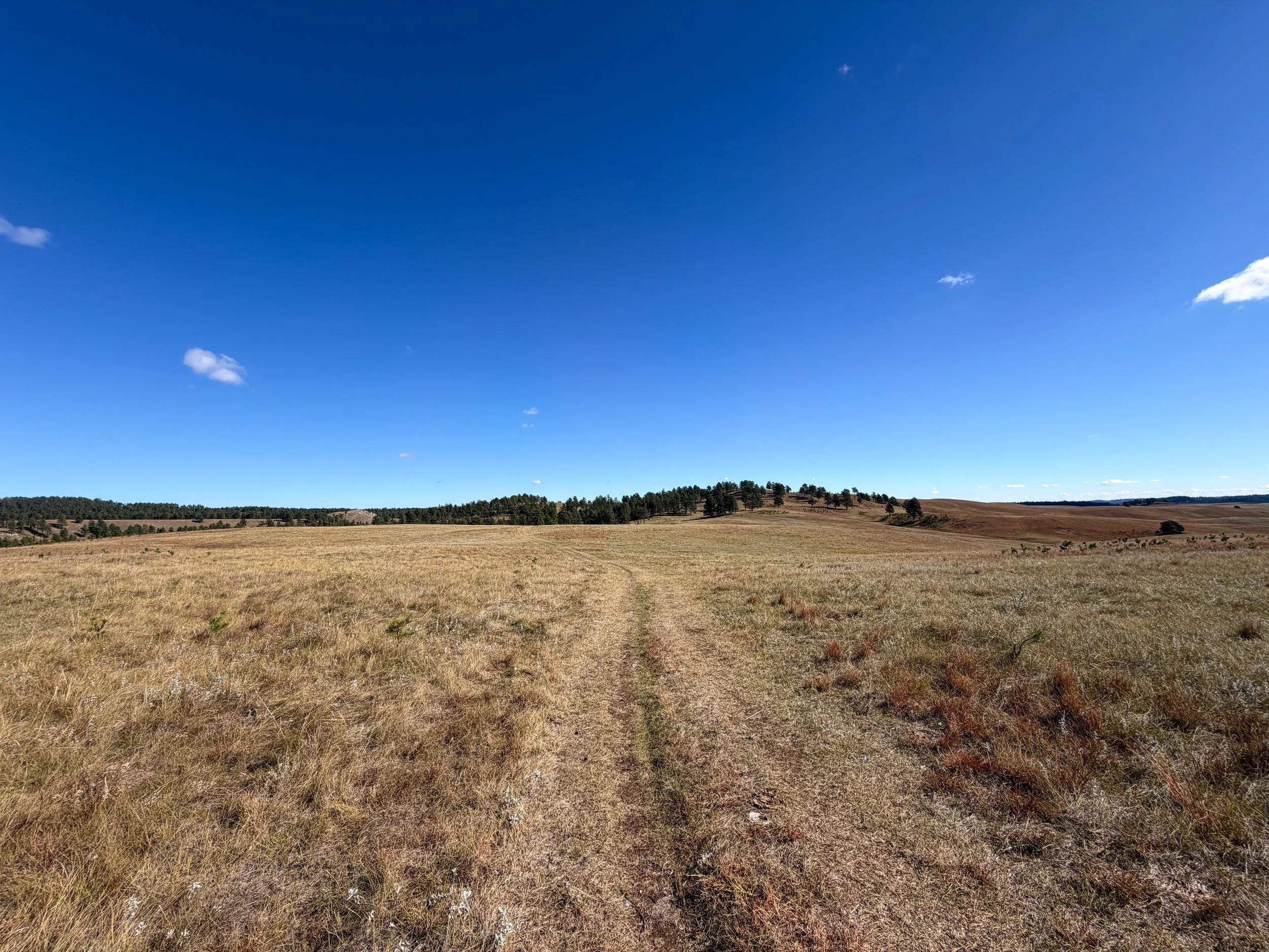 Lookout Point Trail Wind Cave National Park South Dakota