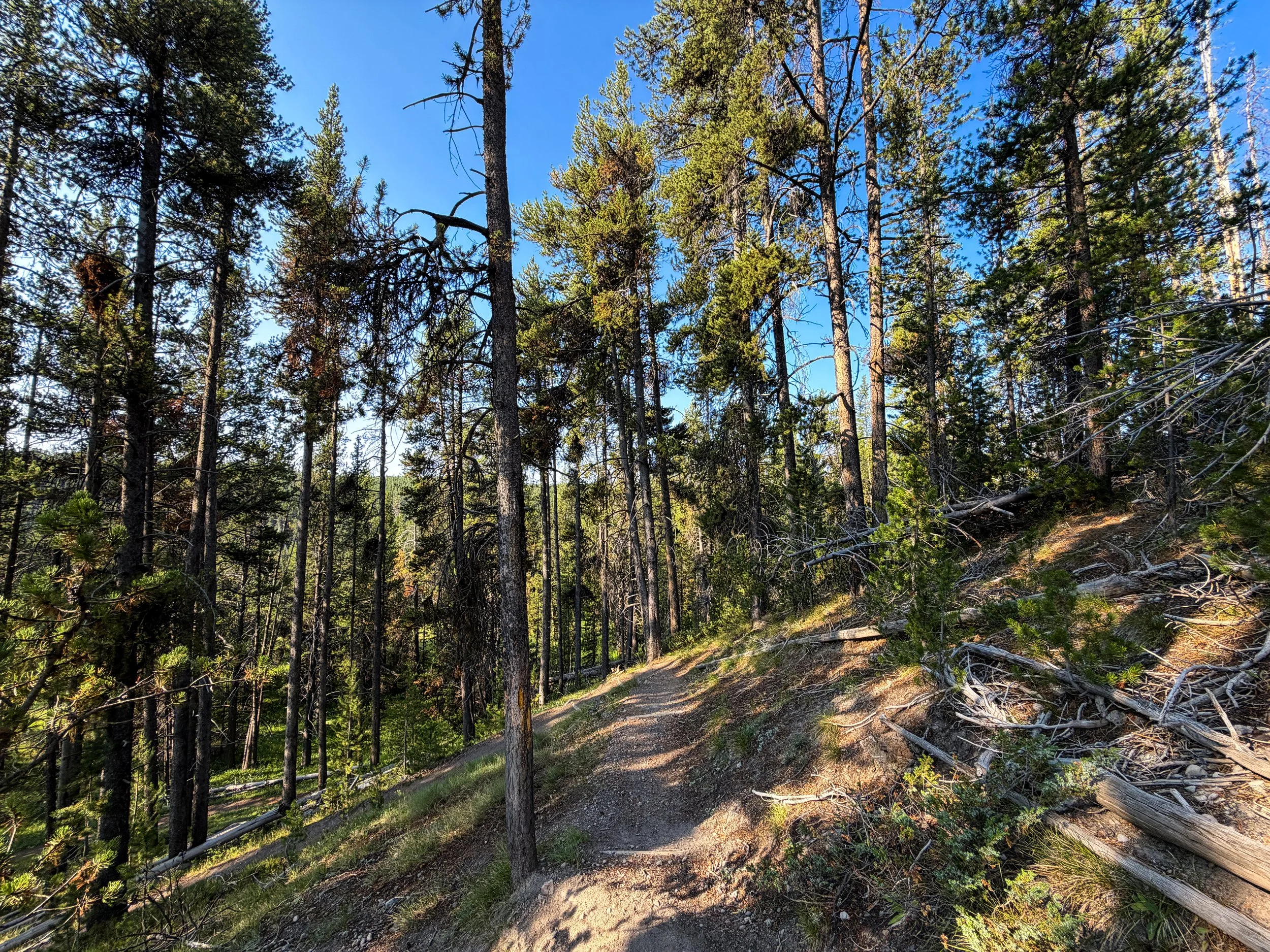 Natural Bridge Trail Yellowstone National Park Wyoming