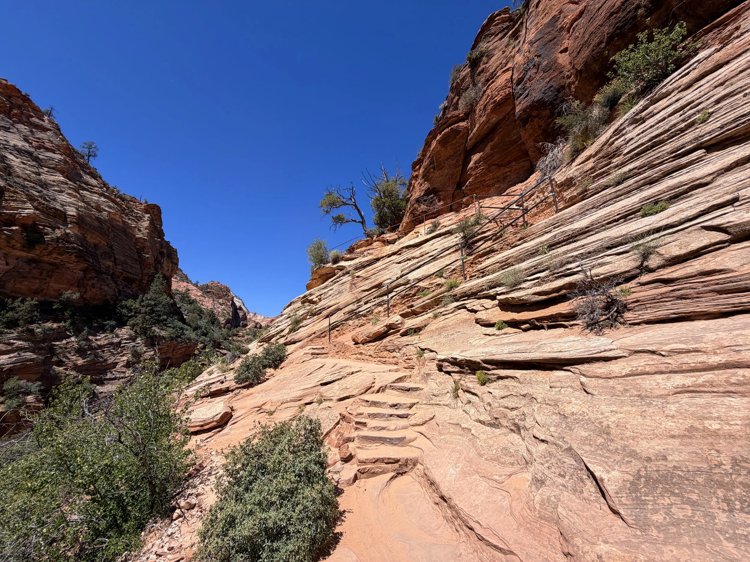 Canyon Overlook Trail Zion National Park Utah