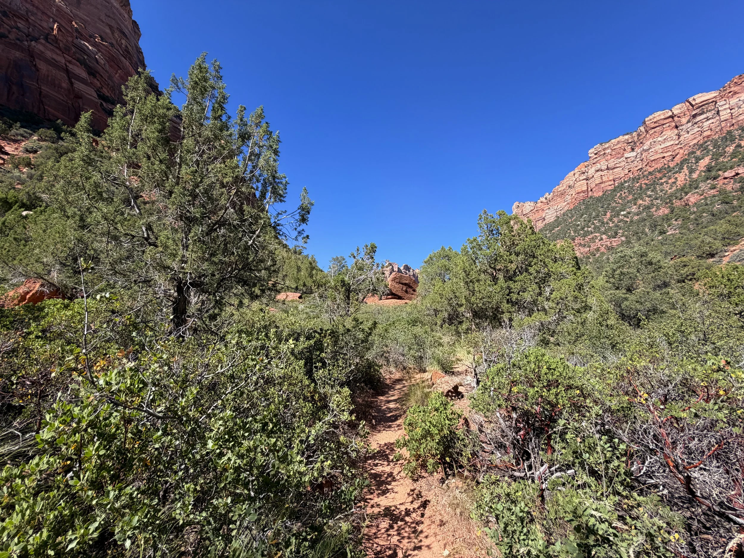 Subway Trail Bottom Up Route Zion National Park Utah