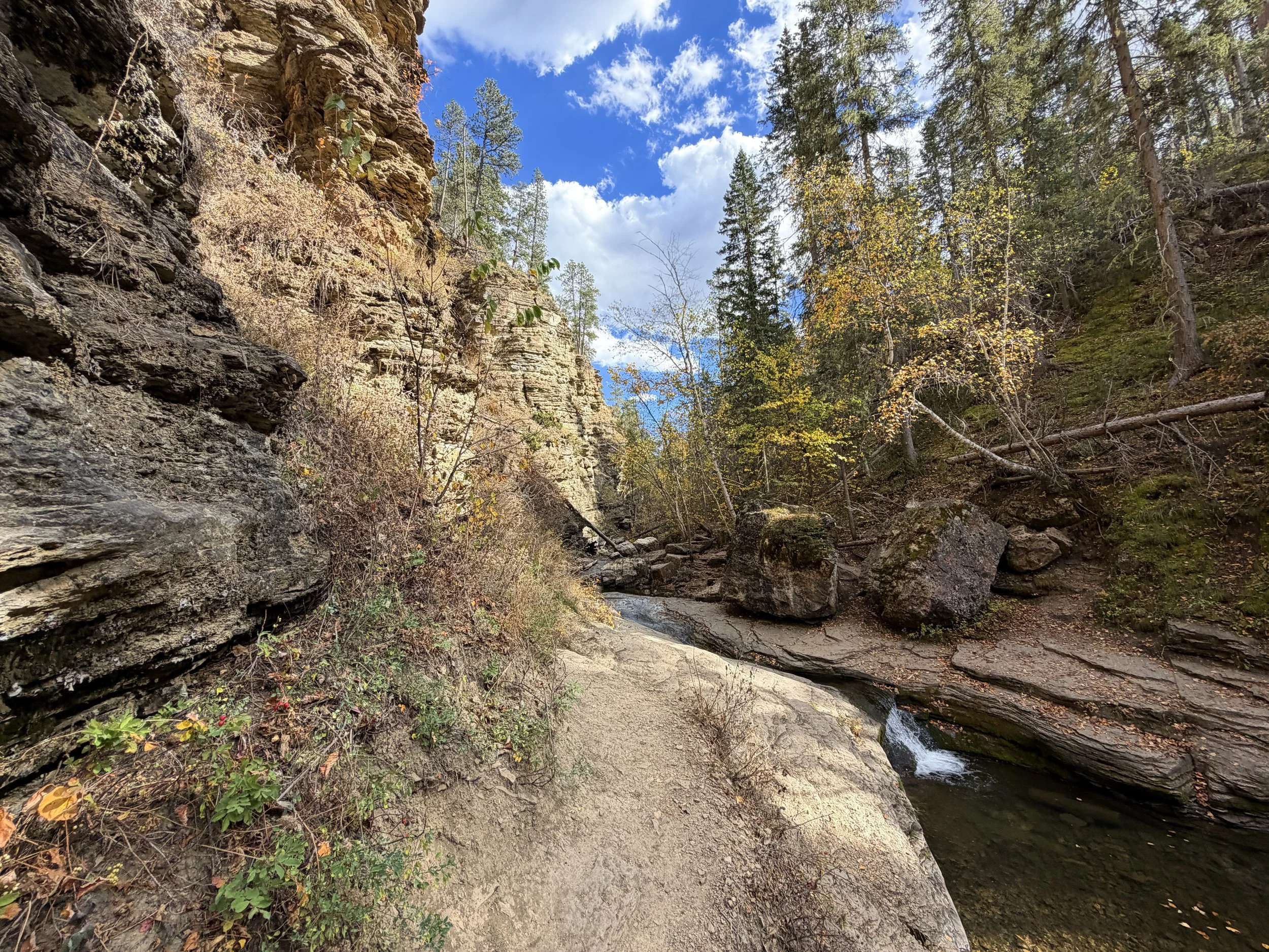 Devils Bathtub Trail Spearfish Canyon Black Hills South Dakota