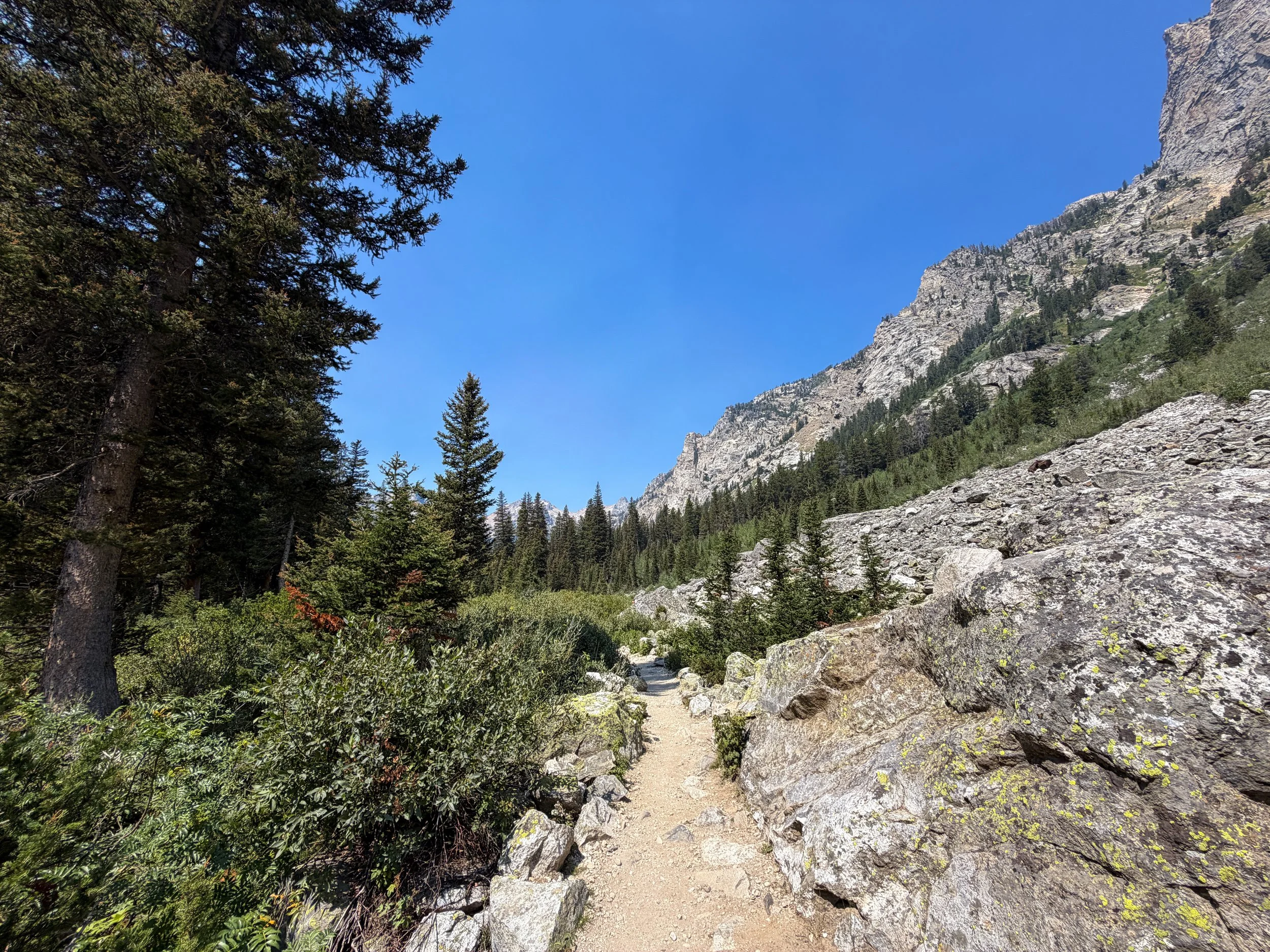 Cascade Canyon Trail Grand Teton National Park Wyoming