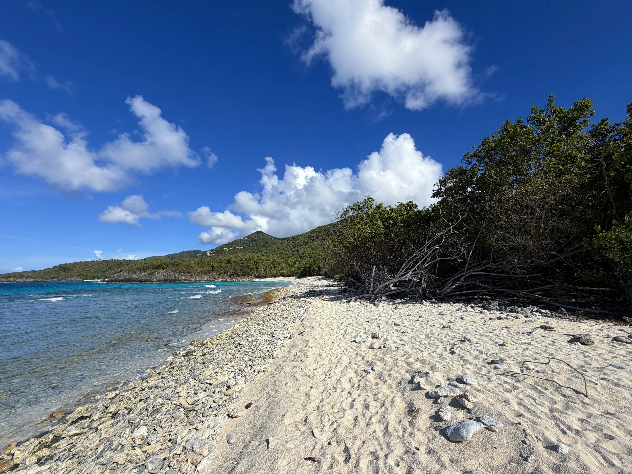 Oppenheimer Beach Virgin Islands National Park