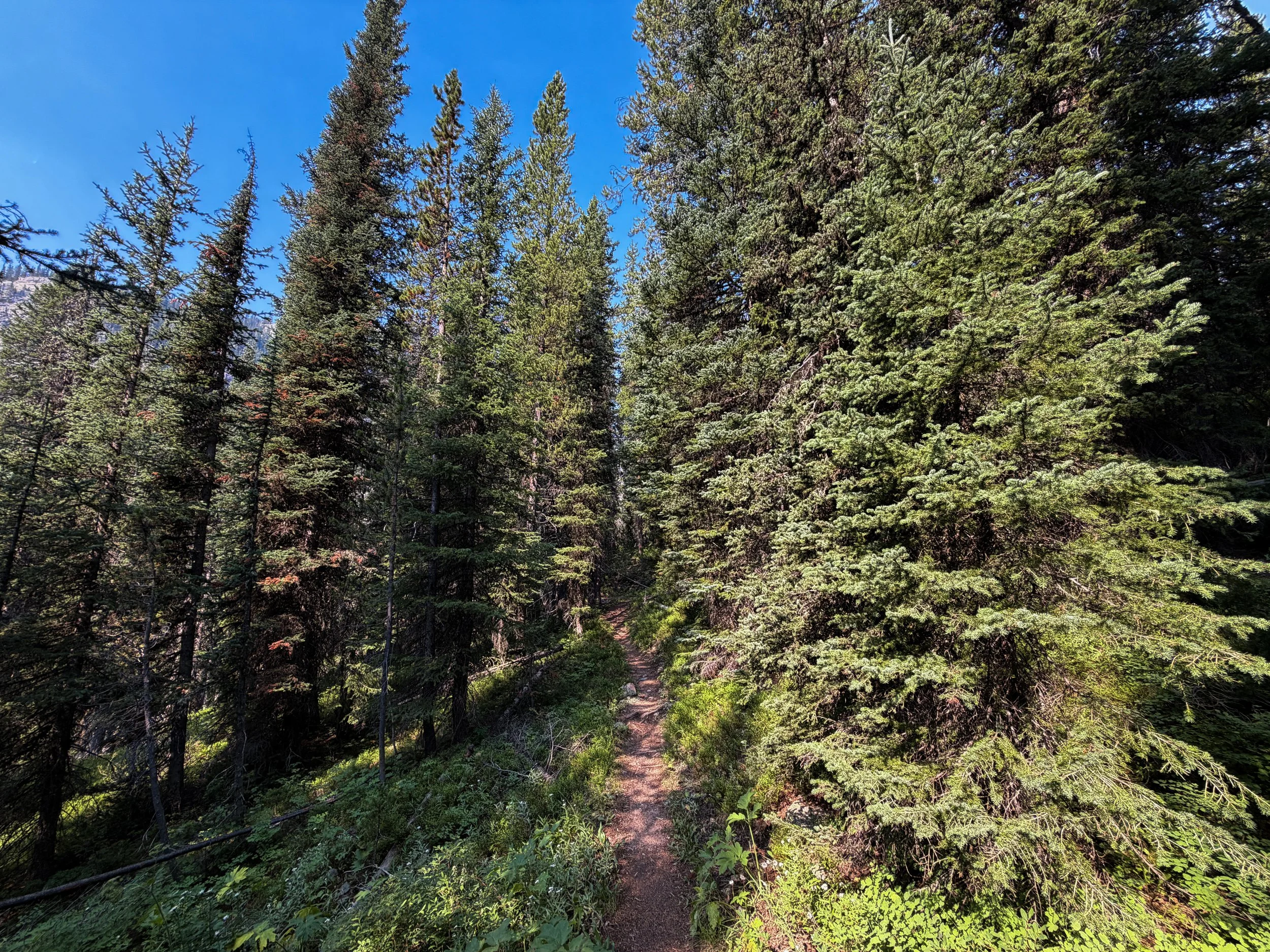 East Rosebud Trail The Beaten Path Beartooth Mountains Montana