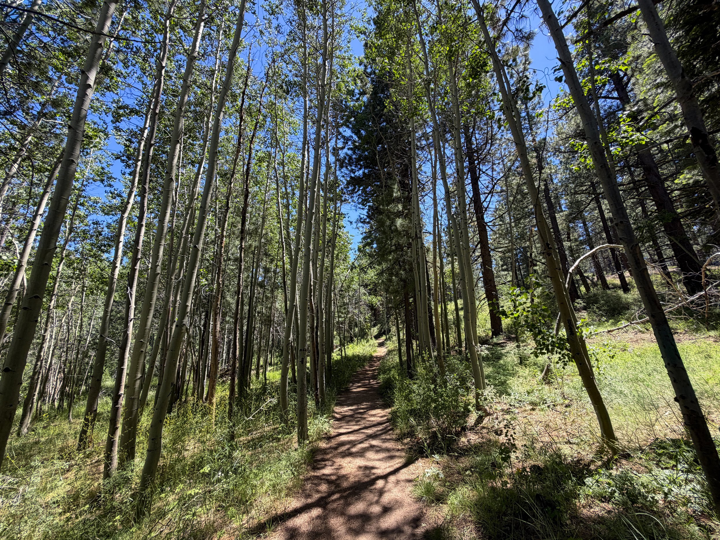 Spooner Lake Loop Trail Lake Tahoe Nevada