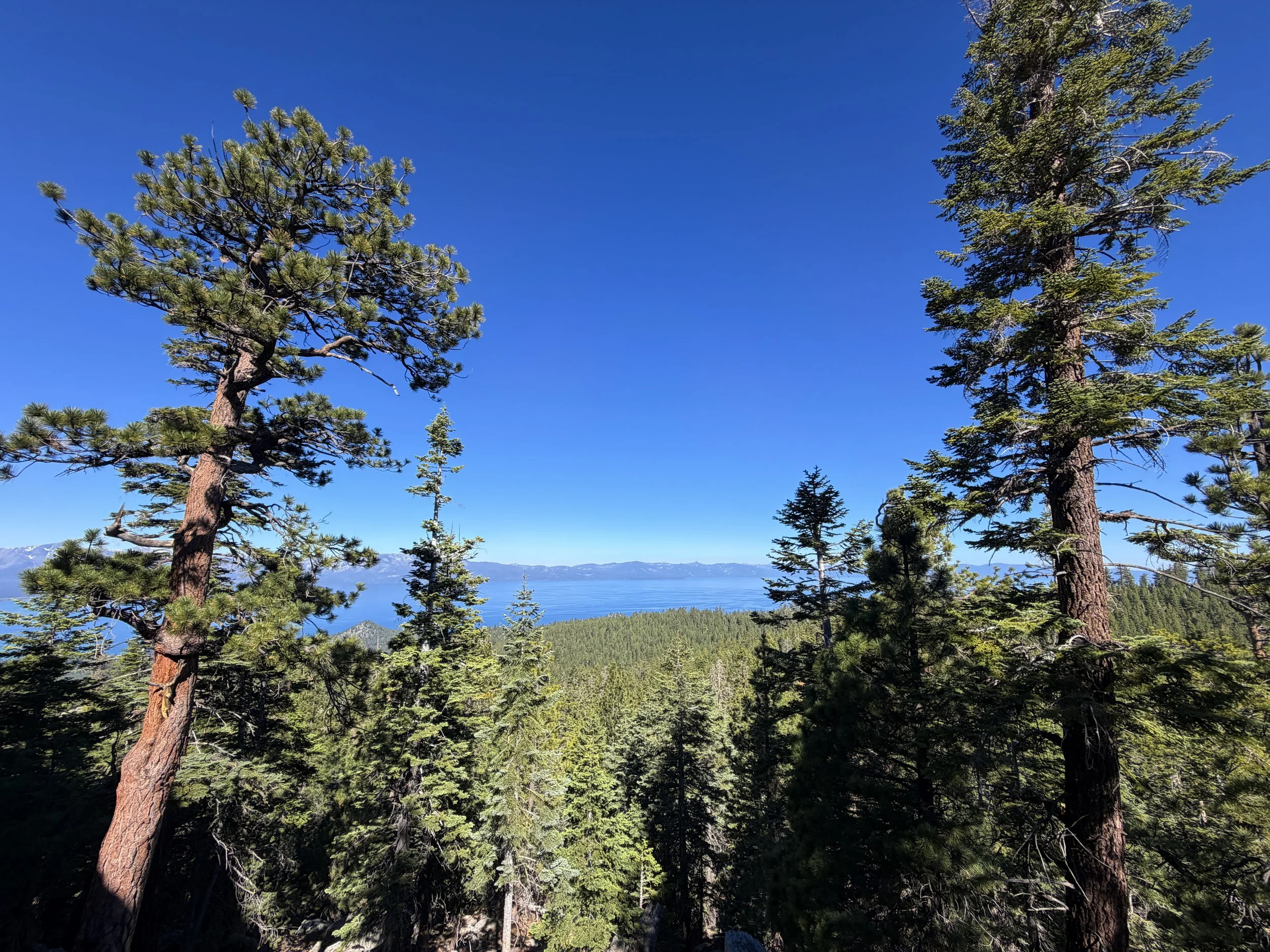 Castle Rock Trail Viewpoint Lake Tahoe Nevada