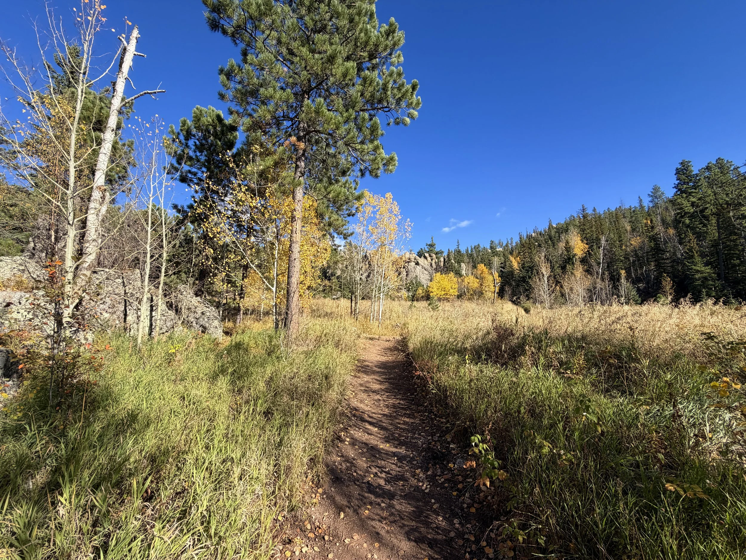 Little Devils Tower Hike Custer State Park Black Hills South Dakota