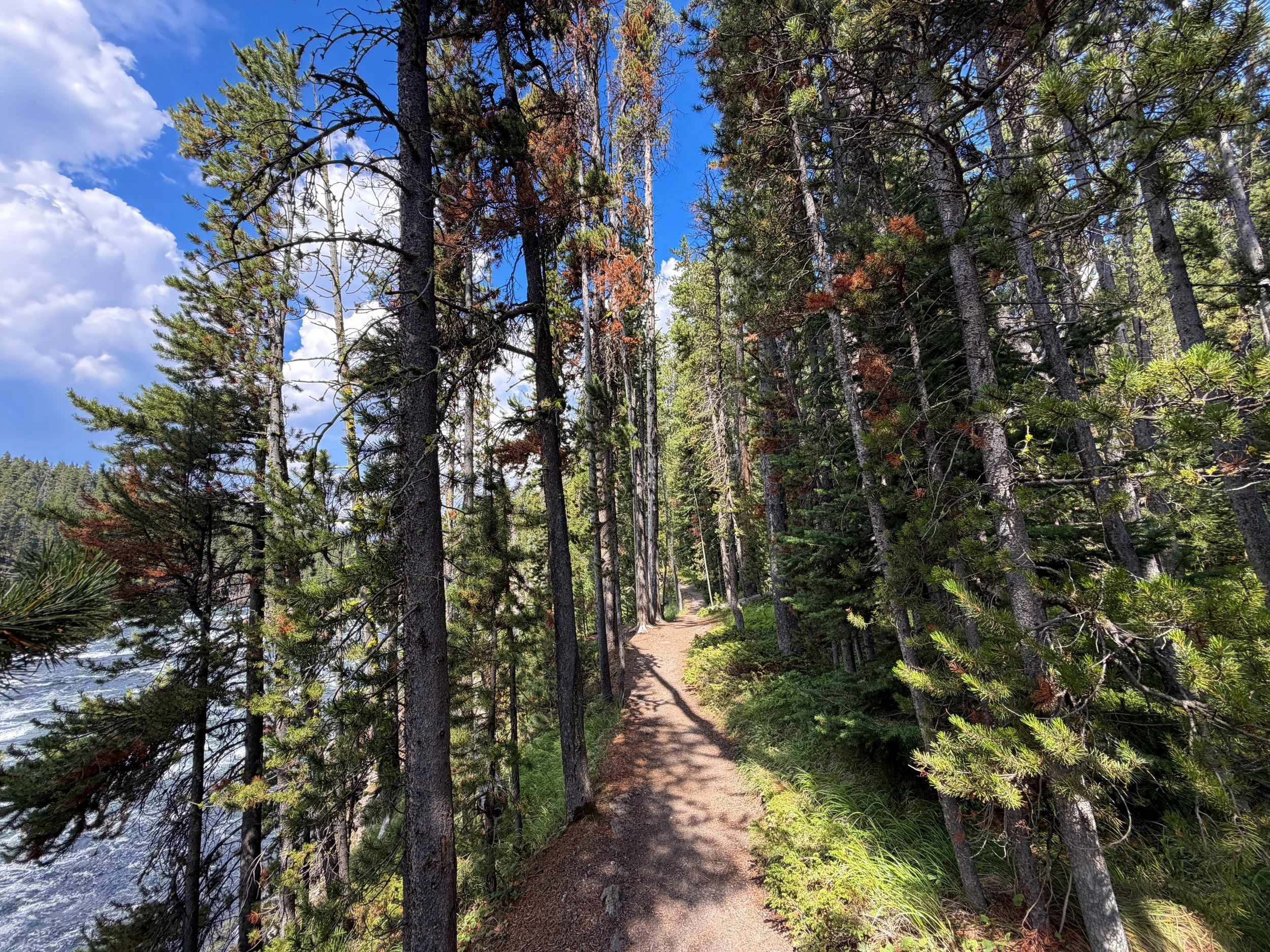 South Rim Trail Yellowstone National Park Wyoming