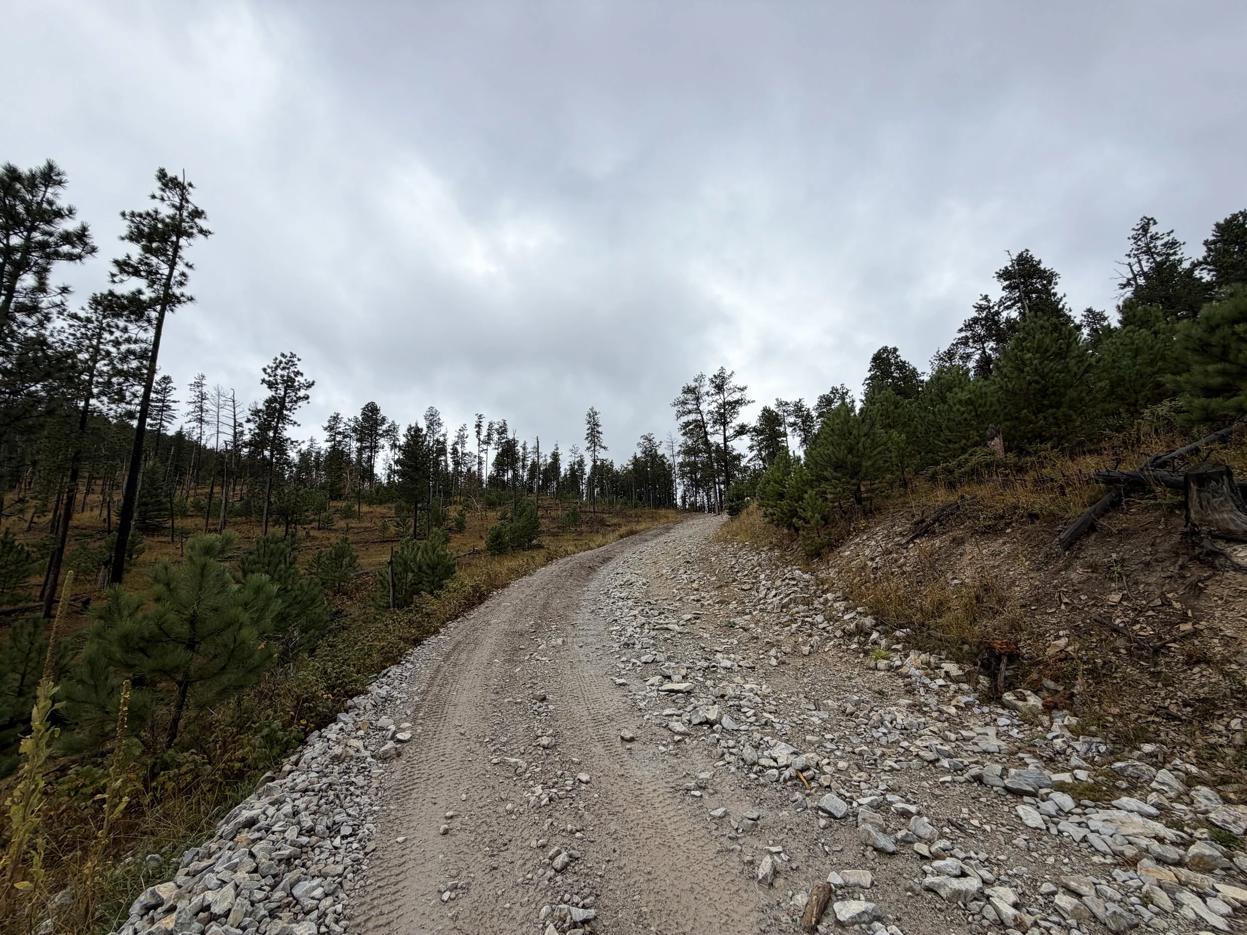 Custer Peak Lookout Trail Black Hills South Dakota