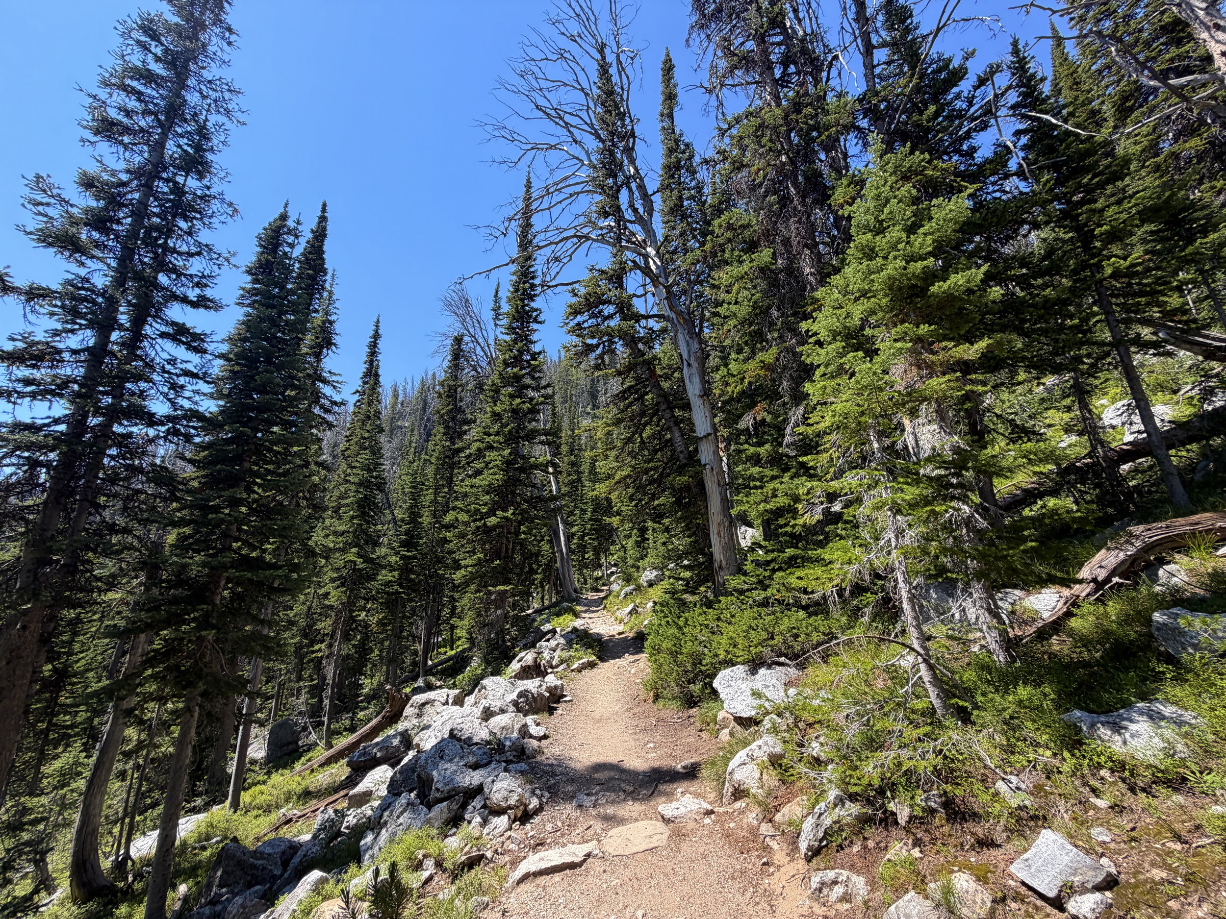 Surprise and Amphitheater Lakes Trail Grand Teton National Park Wyoming