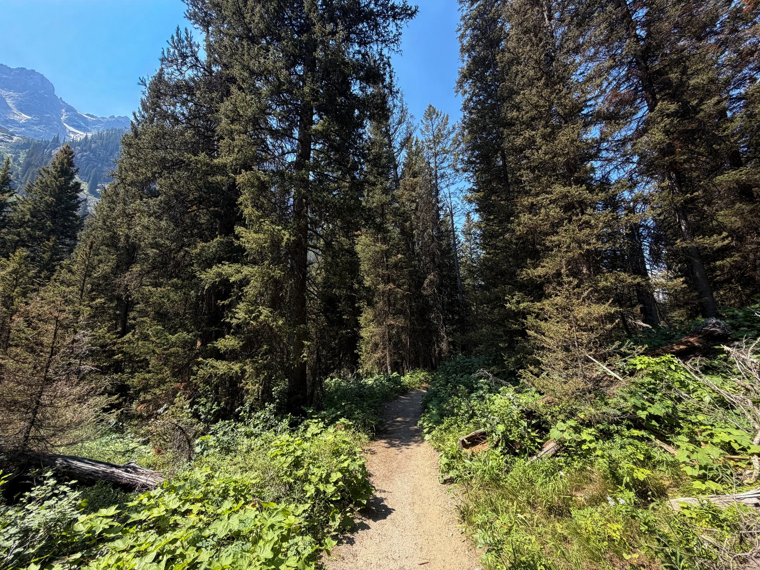 Cascade Canyon Trail Grand Teton National Park Wyoming