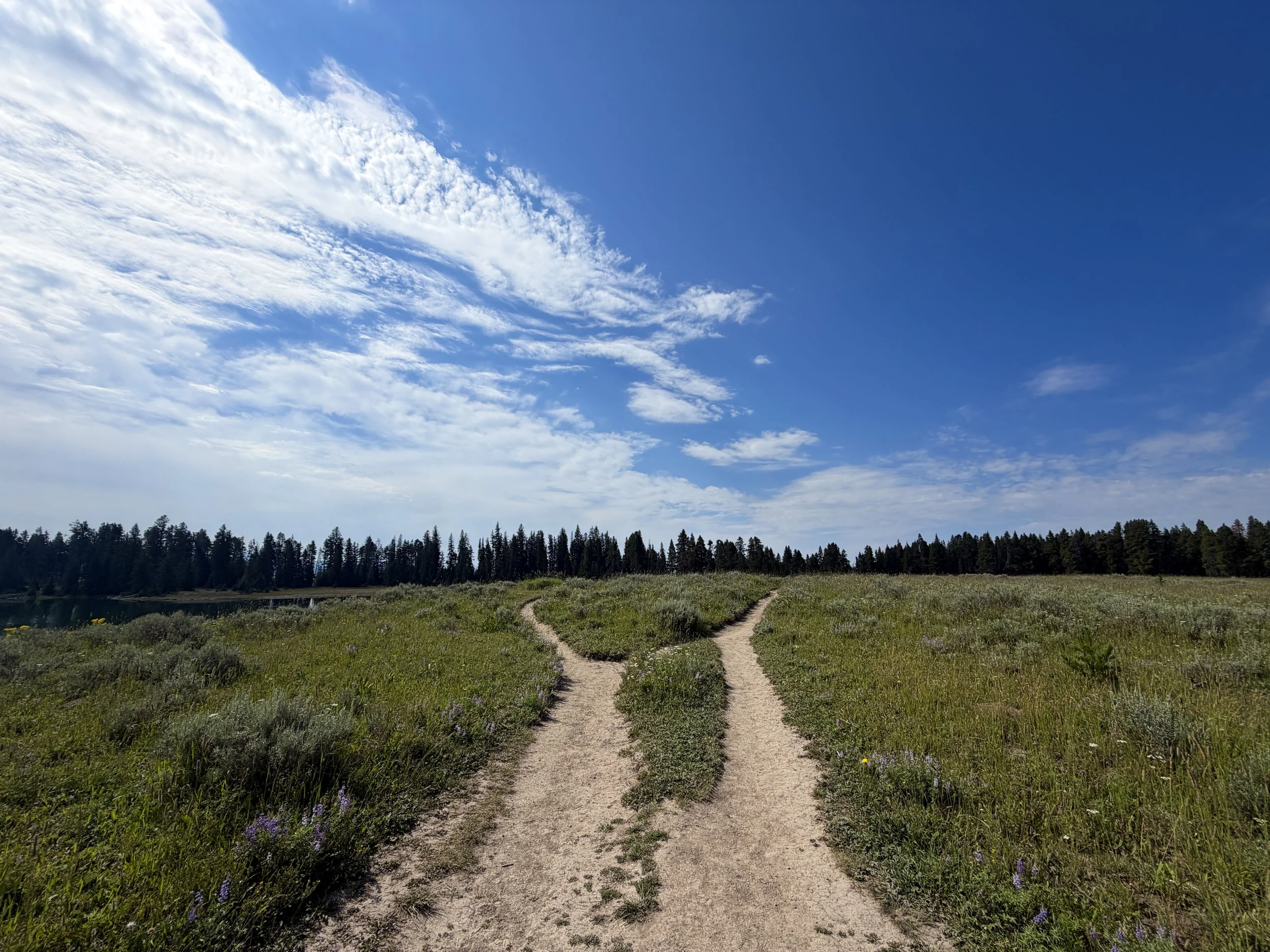 Storm Point Trail Yellowstone National Park Wyoming
