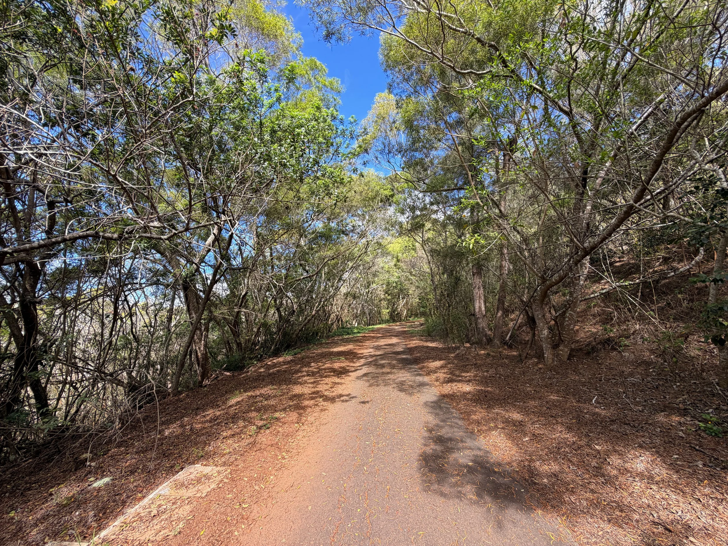 Wiliwilinui Ridge Trail Oahu Hawaii