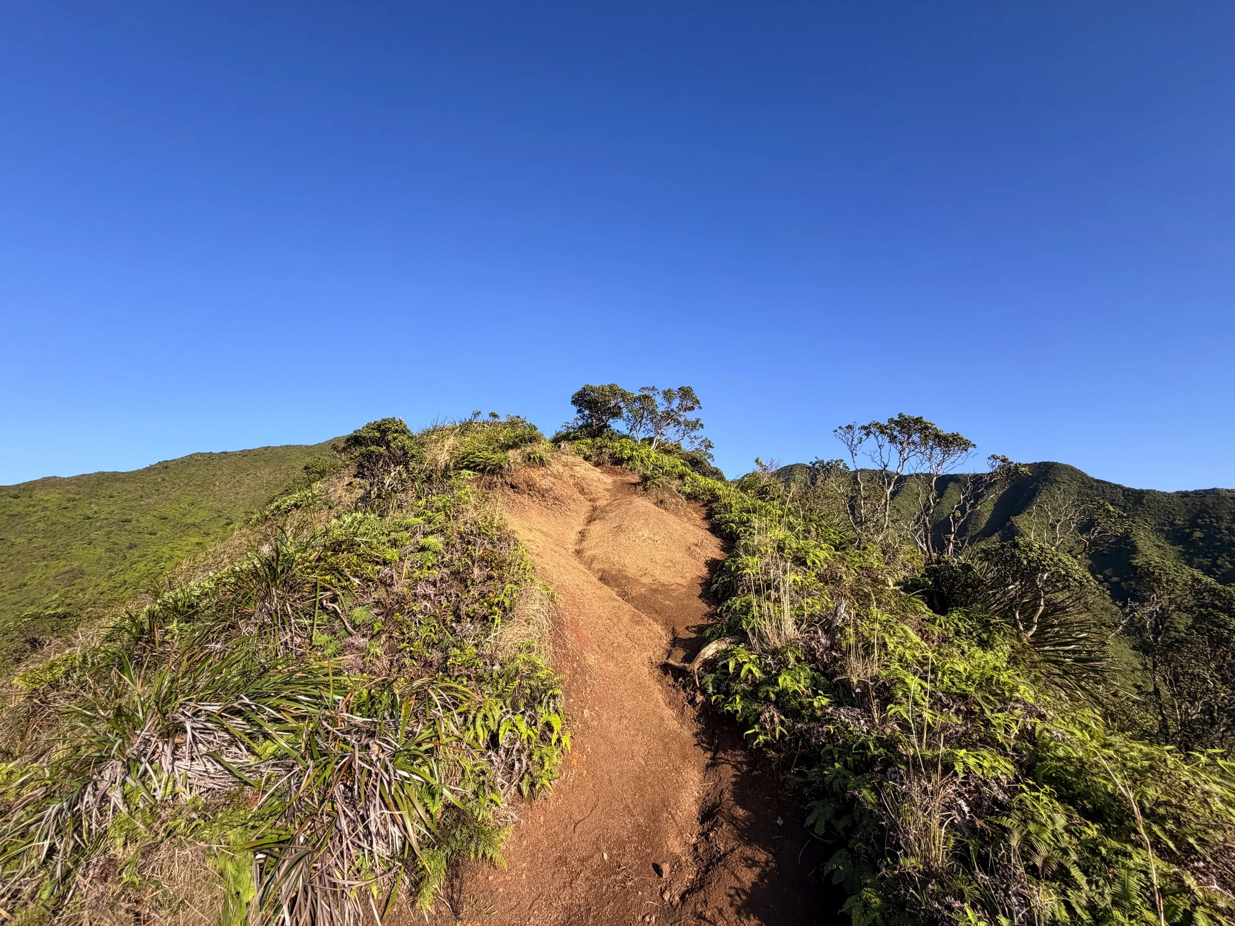 Moanalua Middle Ridge Trail to Stairway to Heaven Oahu Hawaii