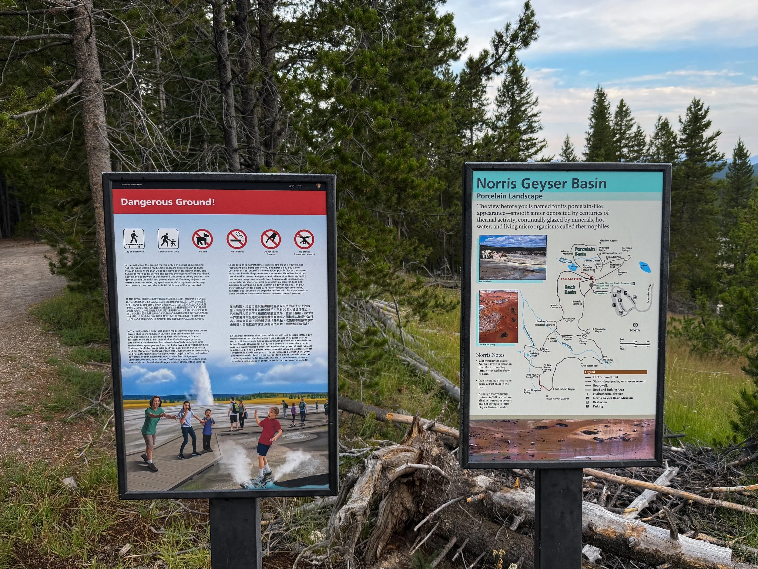 Porcelain Basin Norris Geyser Basin Trail Yellowstone National Park Wyoming