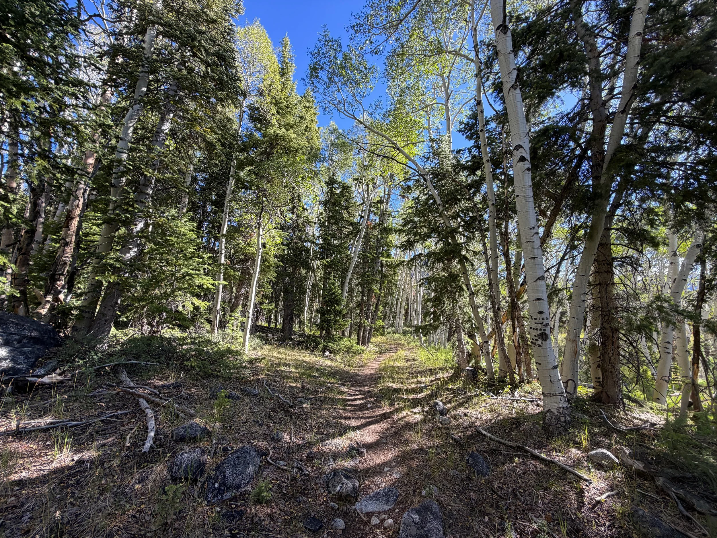 Johnson Lake Hike Great Basin National Park Nevada