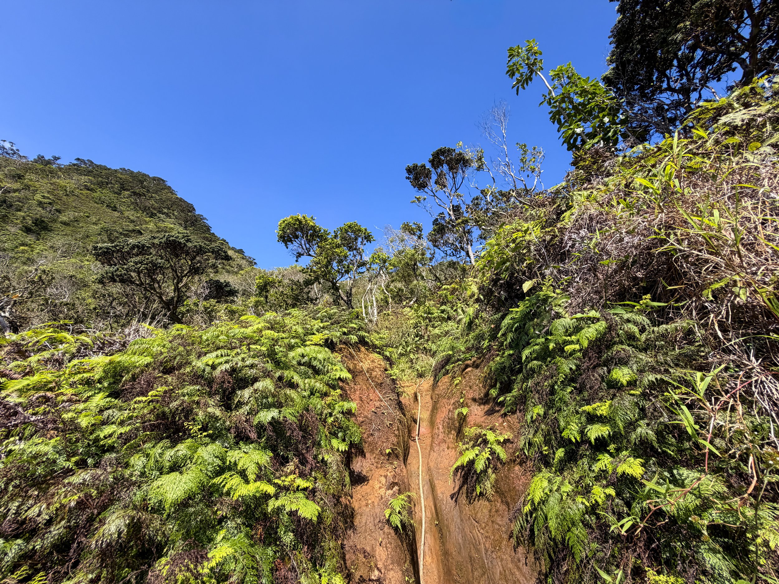 Kulanaahane Ridge Trail Oahu Hawaii