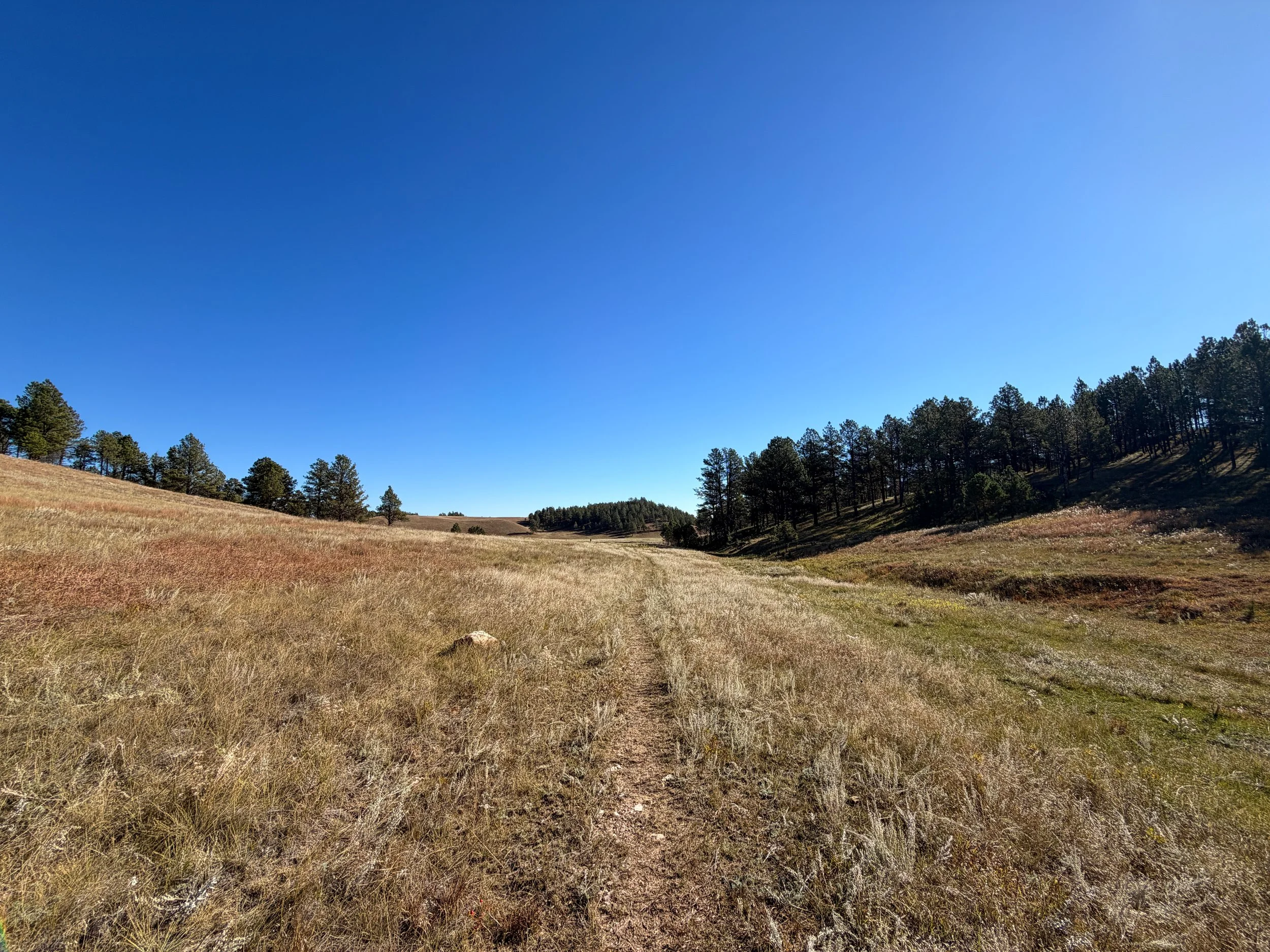 Sanctuary Trail Wind Cave National Park South Dakota