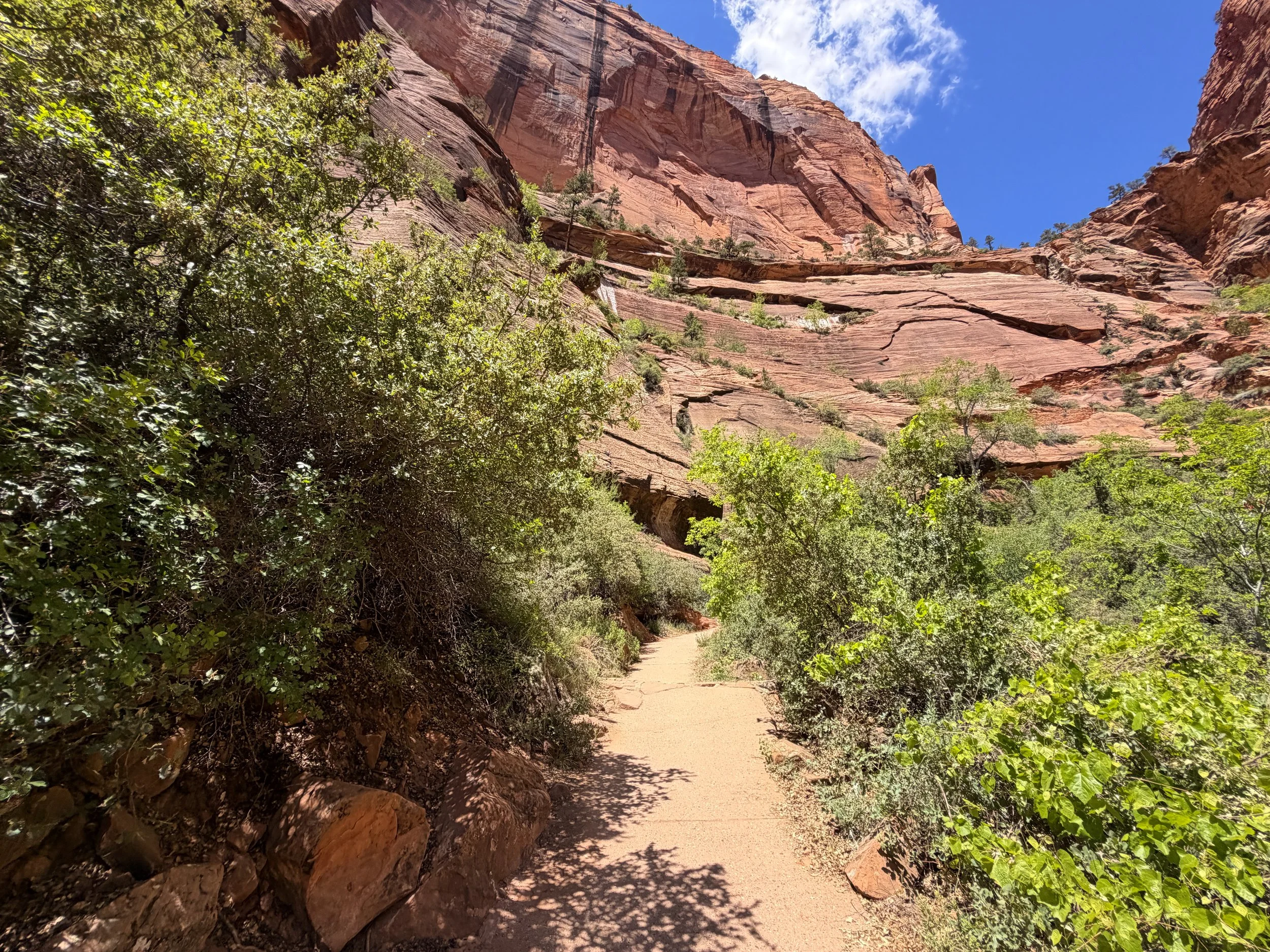 Angels Landing Trail Zion National Park Utah