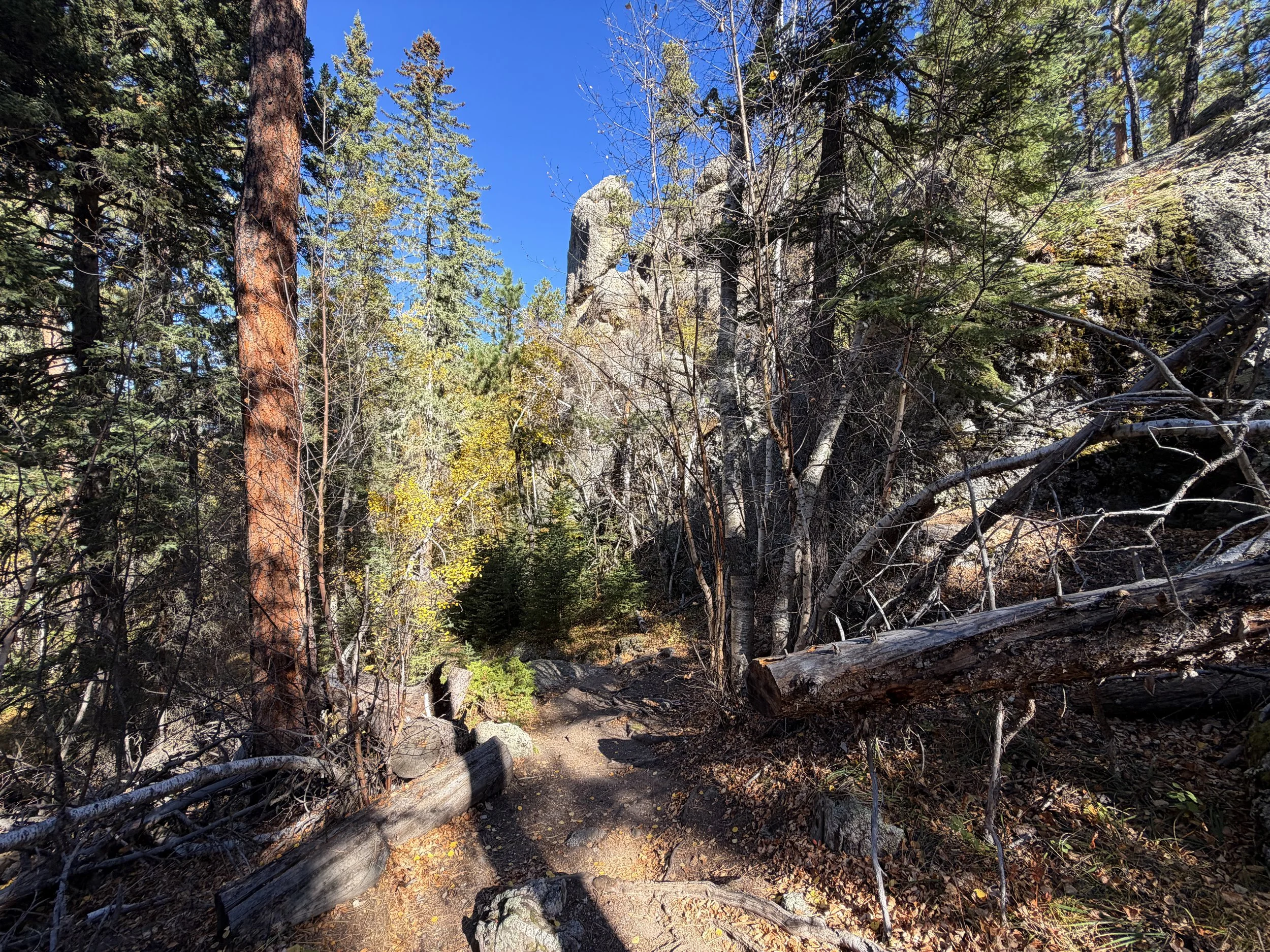 Sunday Gulch Loop Trail Custer State Park Black Hills South Dakota