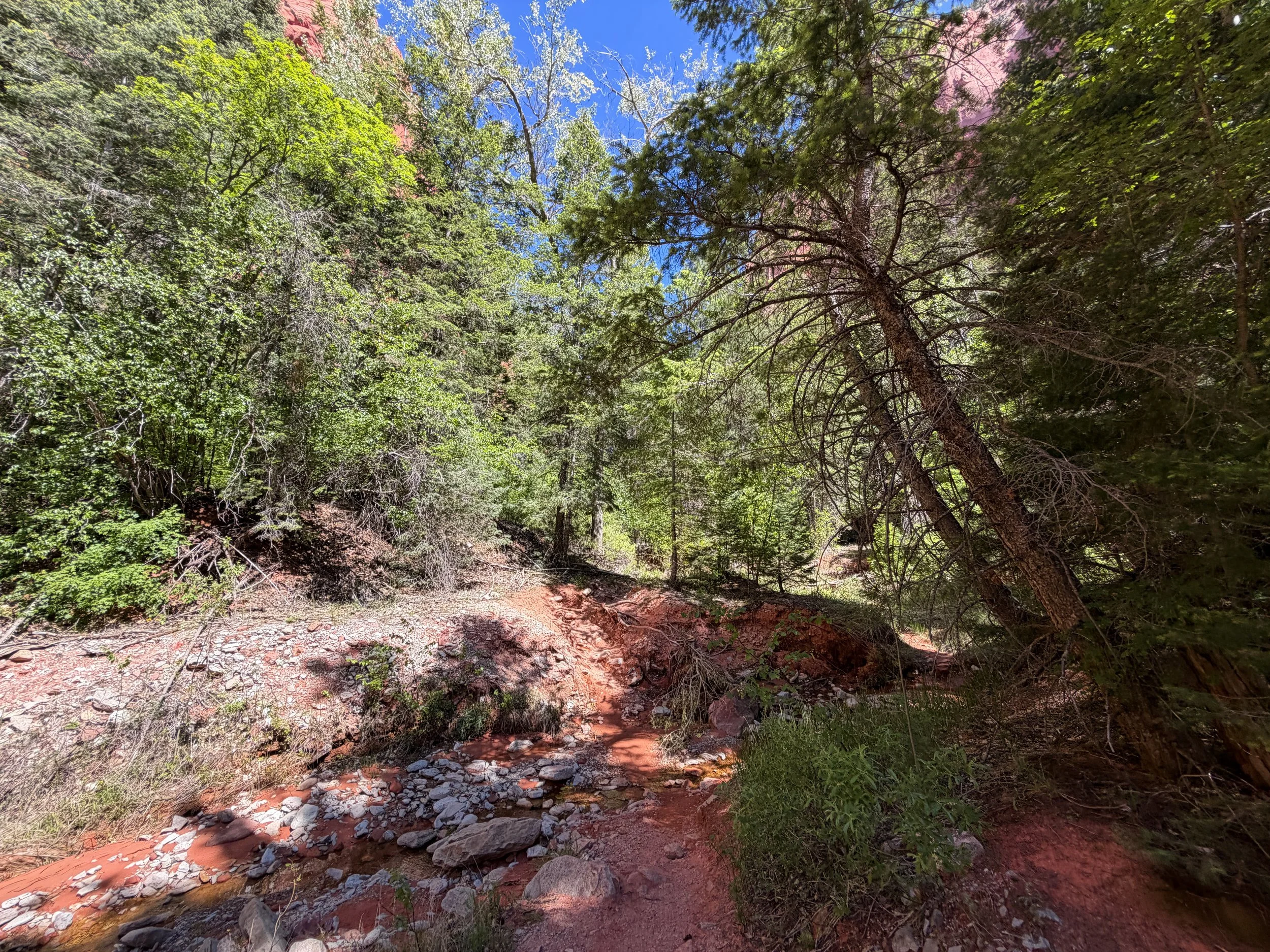 Taylor Creek Hike Zion National Park Utah
