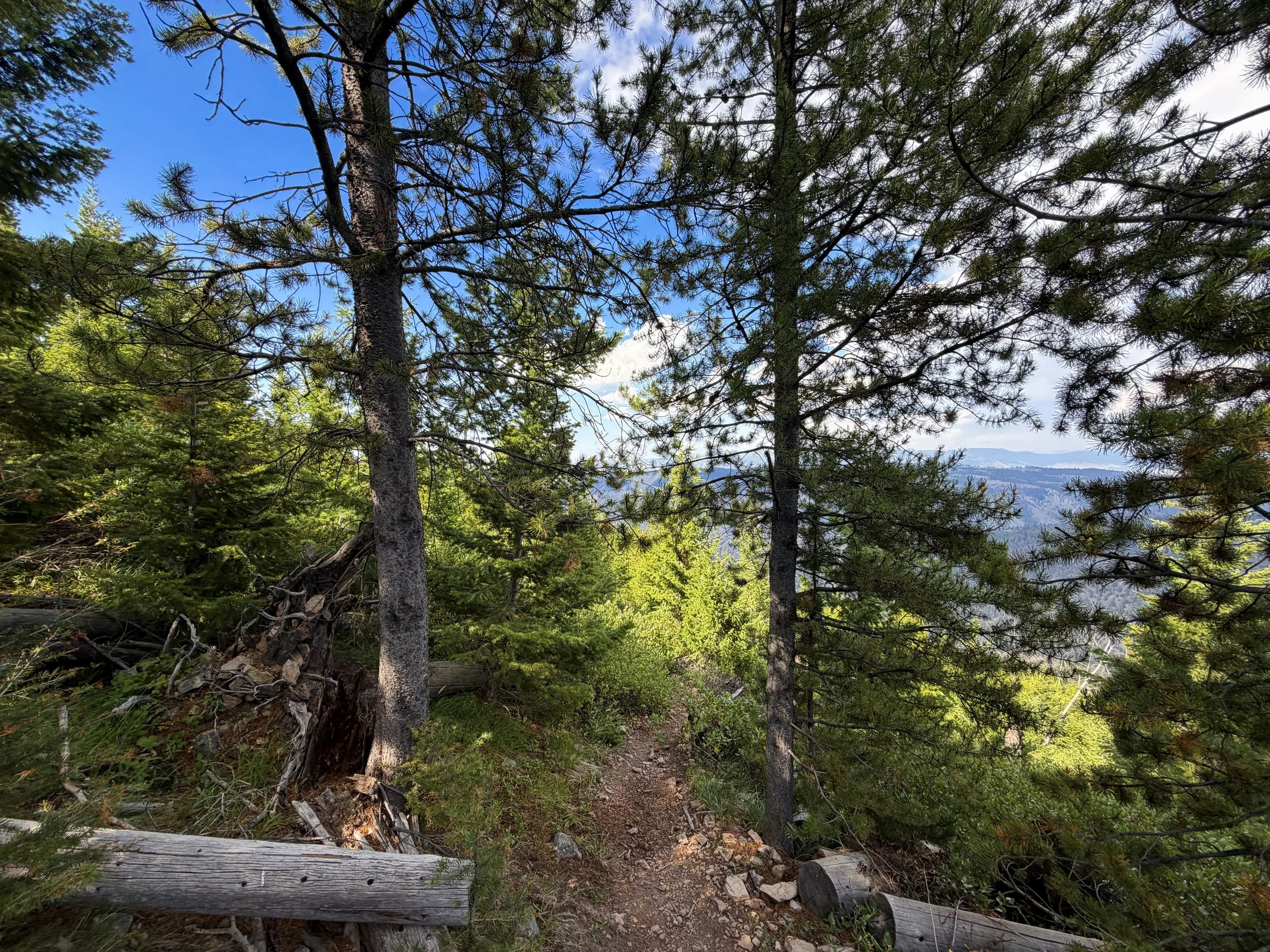 Bunsen Peak Hike Yellowstone National Park Wyoming