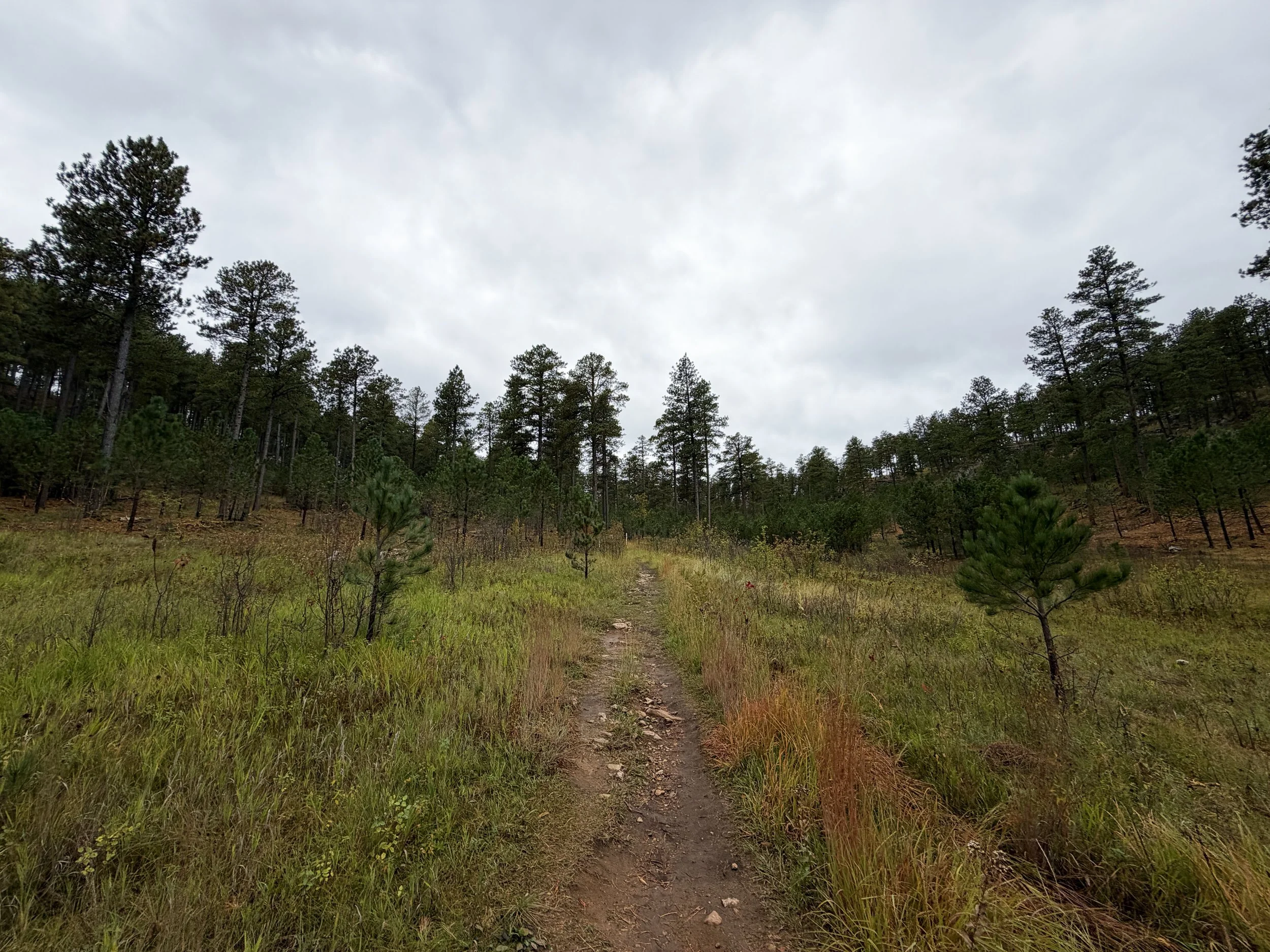 Buzzards Roost Hike Black Hills South Dakota