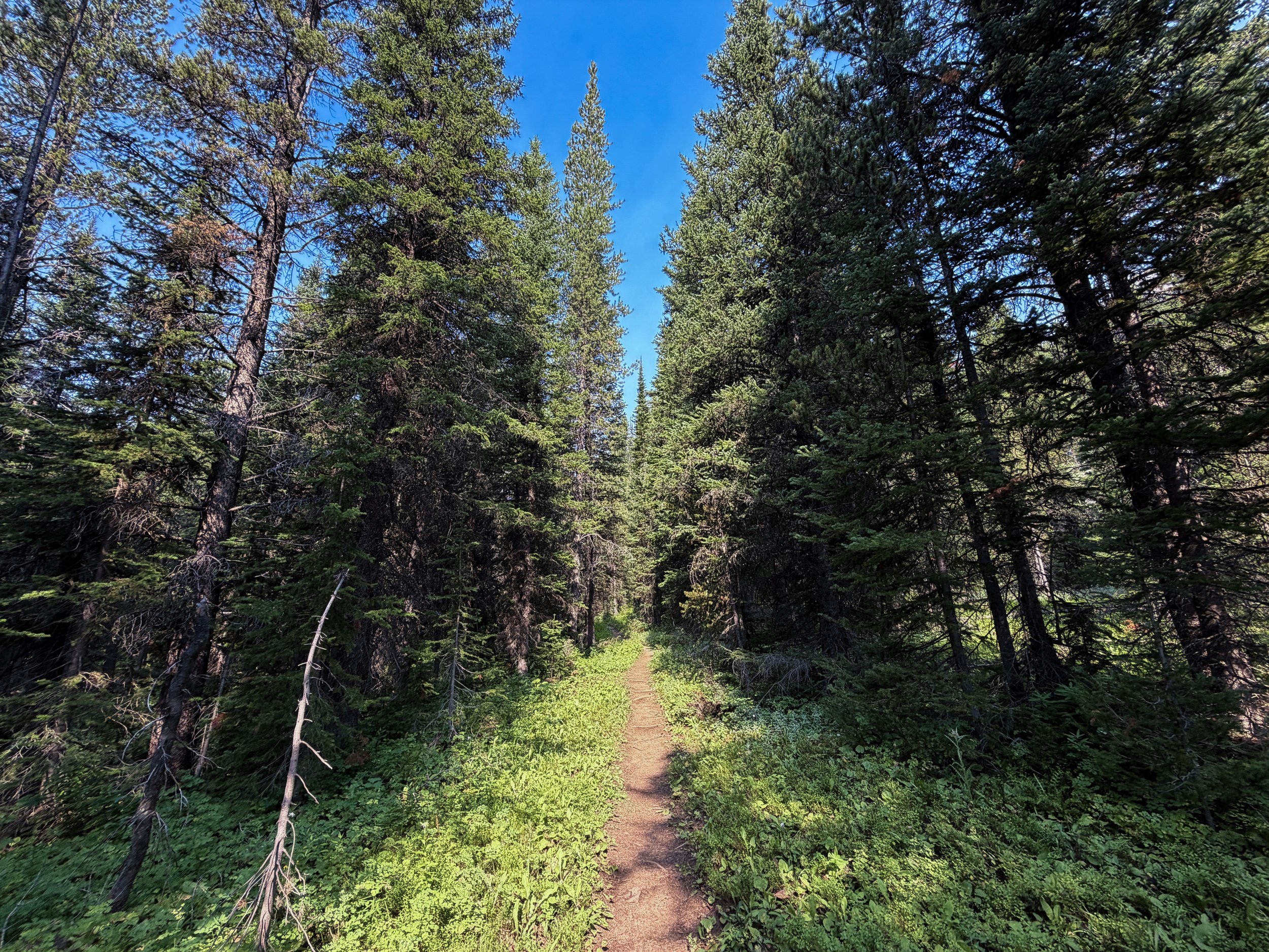 East Rosebud Trail The Beaten Path Beartooth Mountains Montana