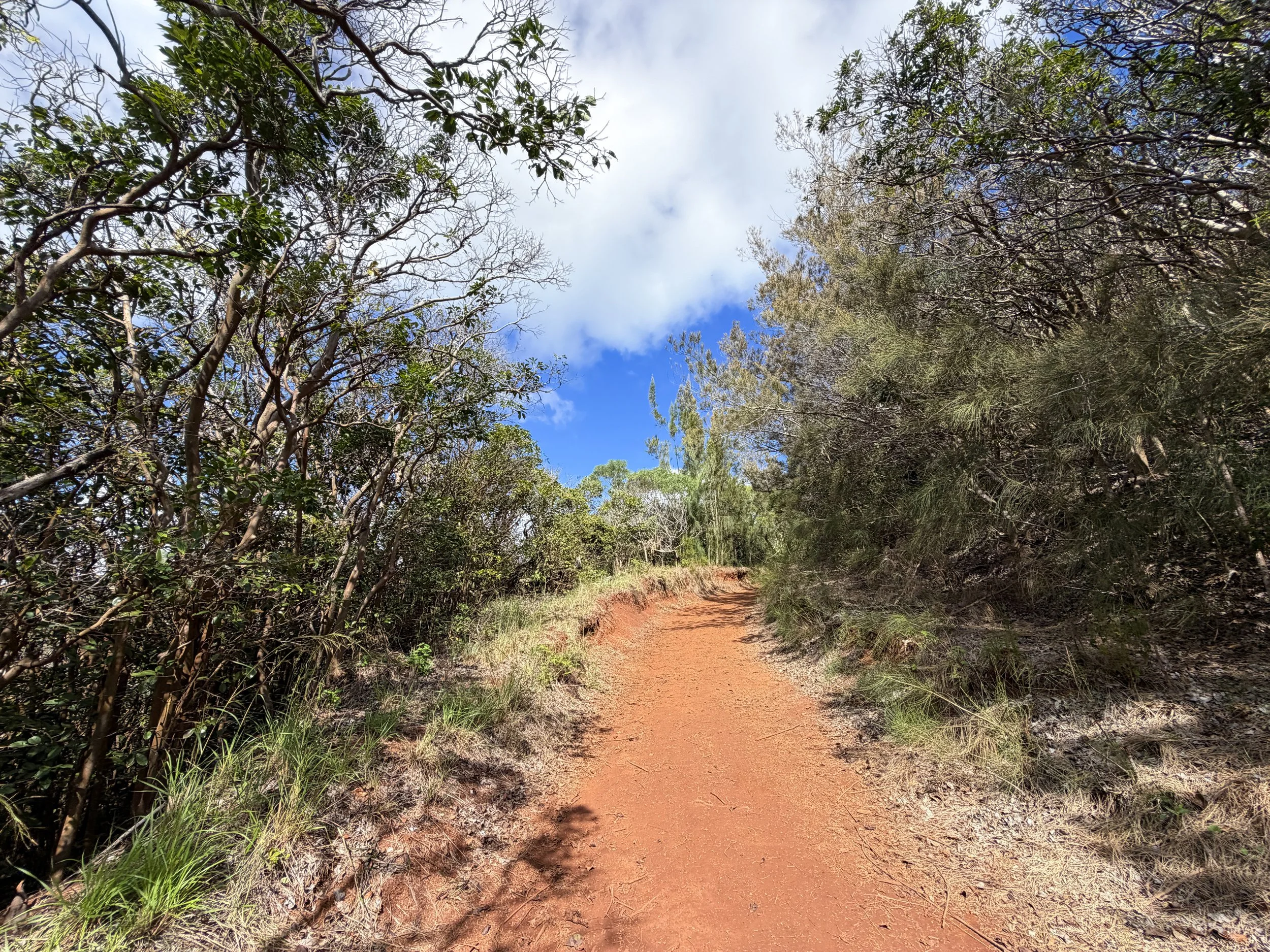 Wiliwilinui Ridge Trail Oahu Hawaii