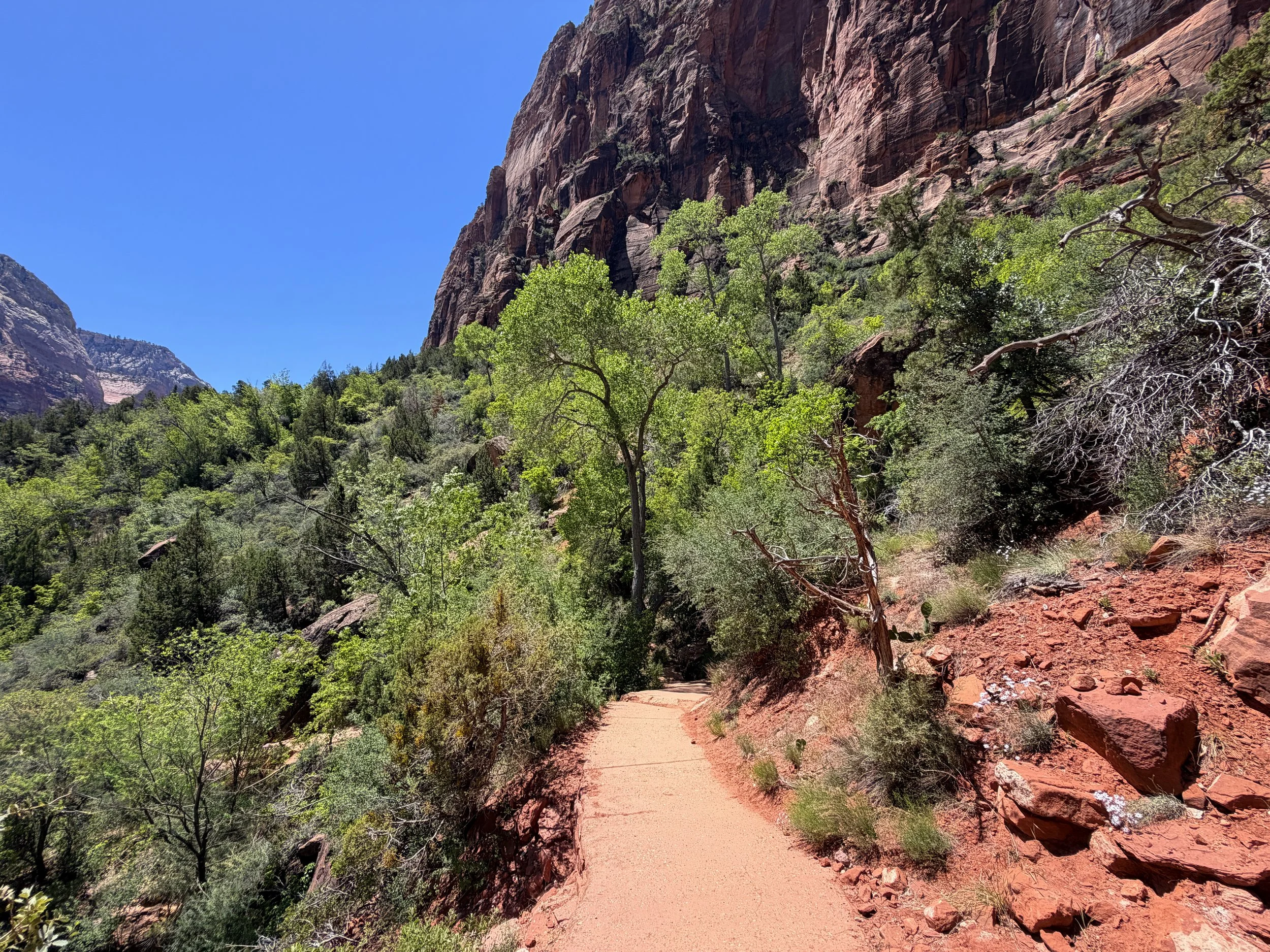 Middle Emerald Pool Trail Zion National Park Utah