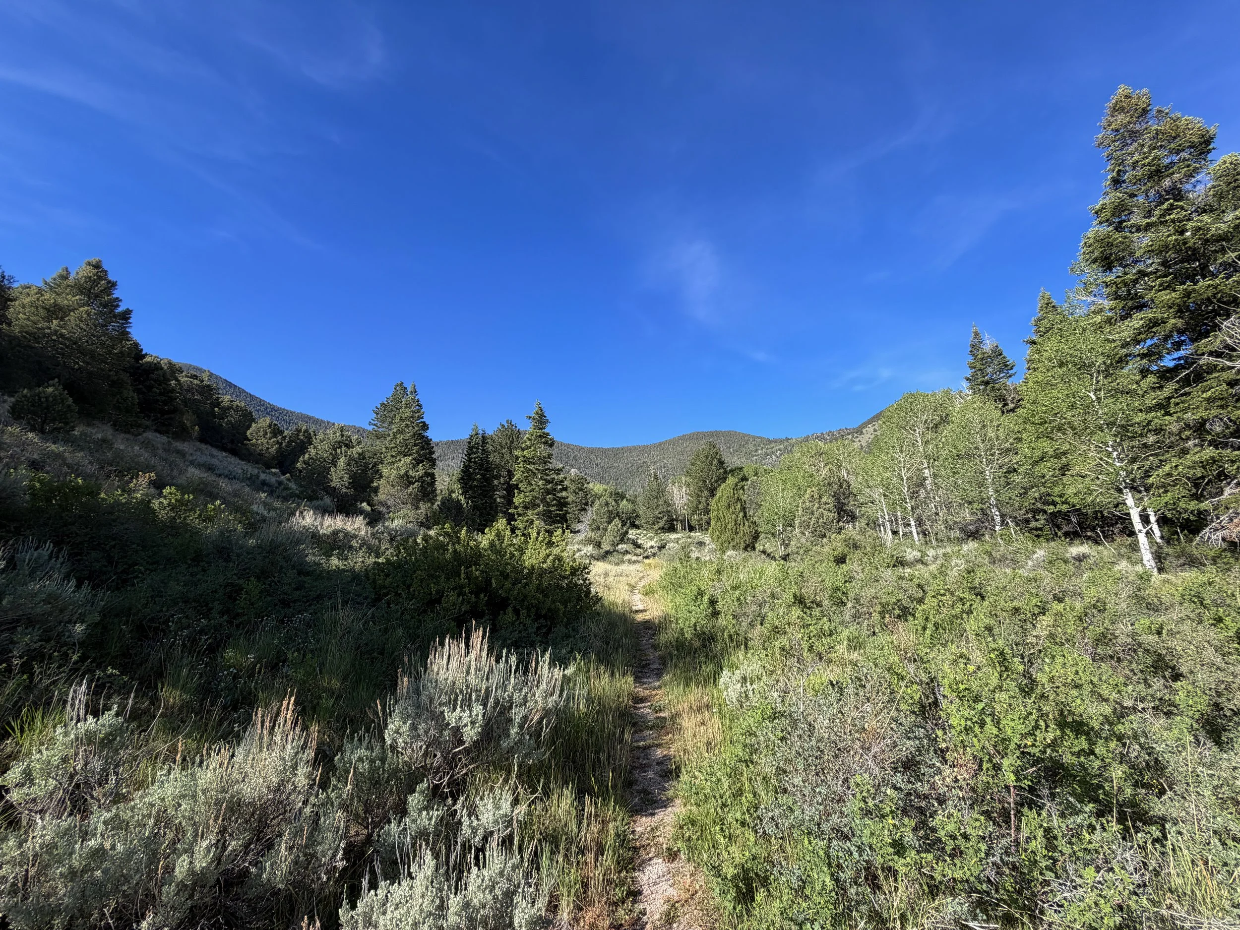 Pole Canyon Loop Trail Great Basin National Park Nevada