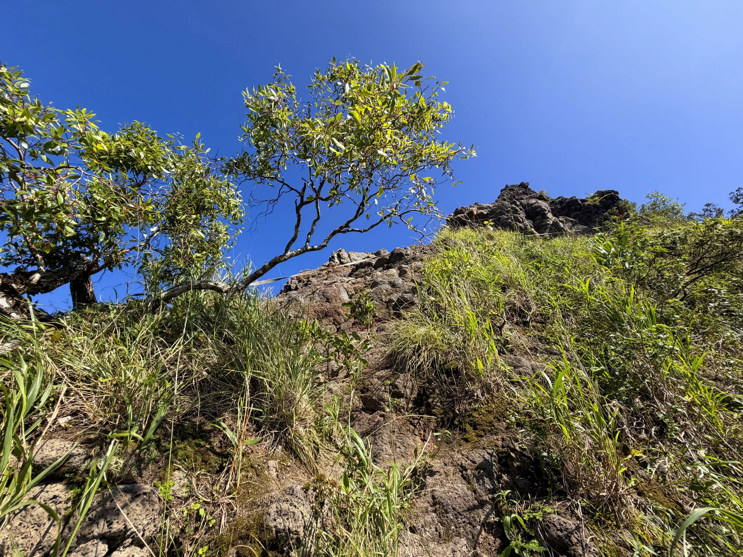 Moanalua Saddle Ropes Koolau Summit Trail Oahu Hawaii